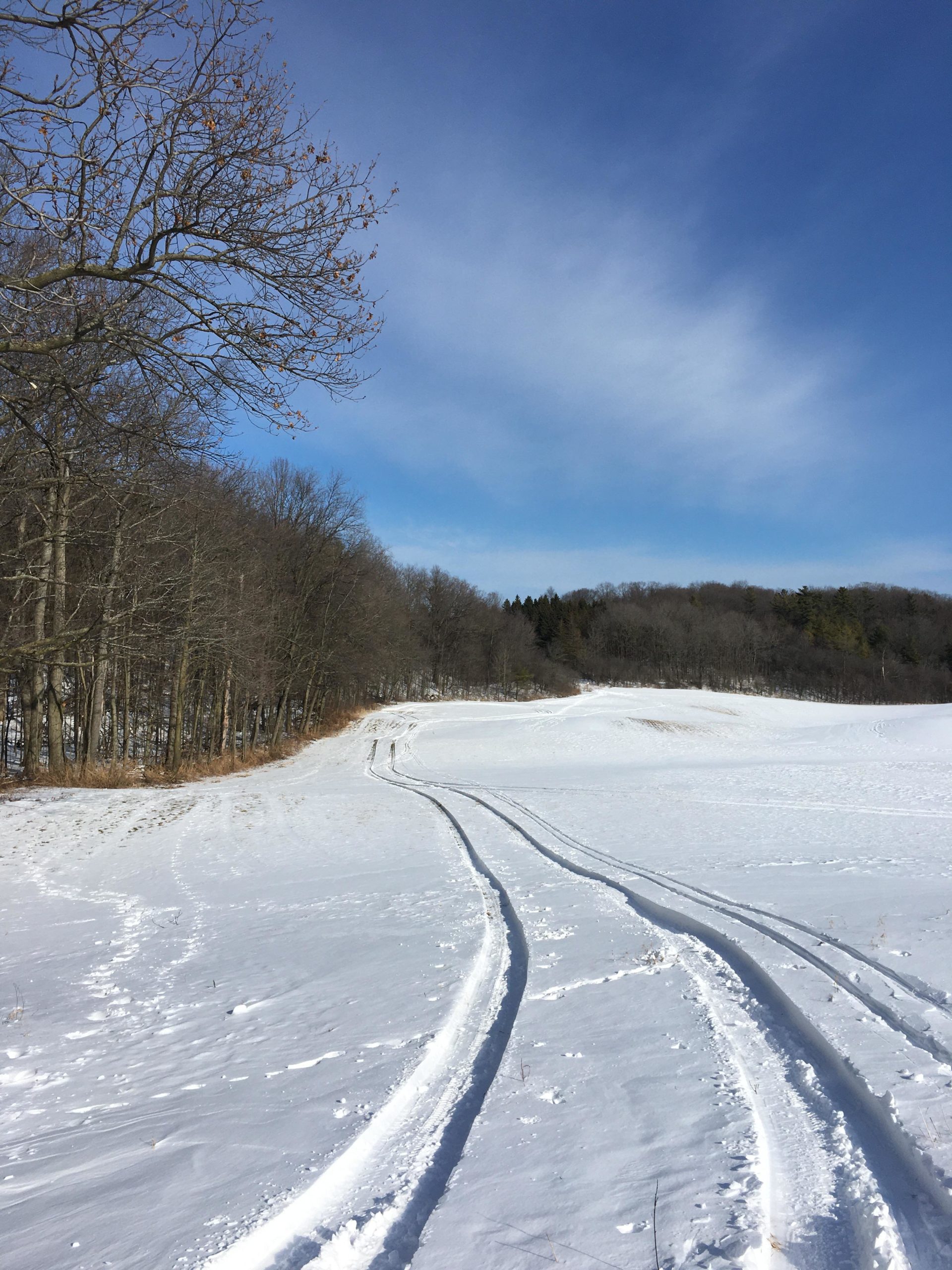 A snowy landscape featuring a winding path of tire tracks leading through the snow, bordered by bare trees on the left and a hillside in the distance under a clear blue sky. Dryden Tract mountain bike trail.