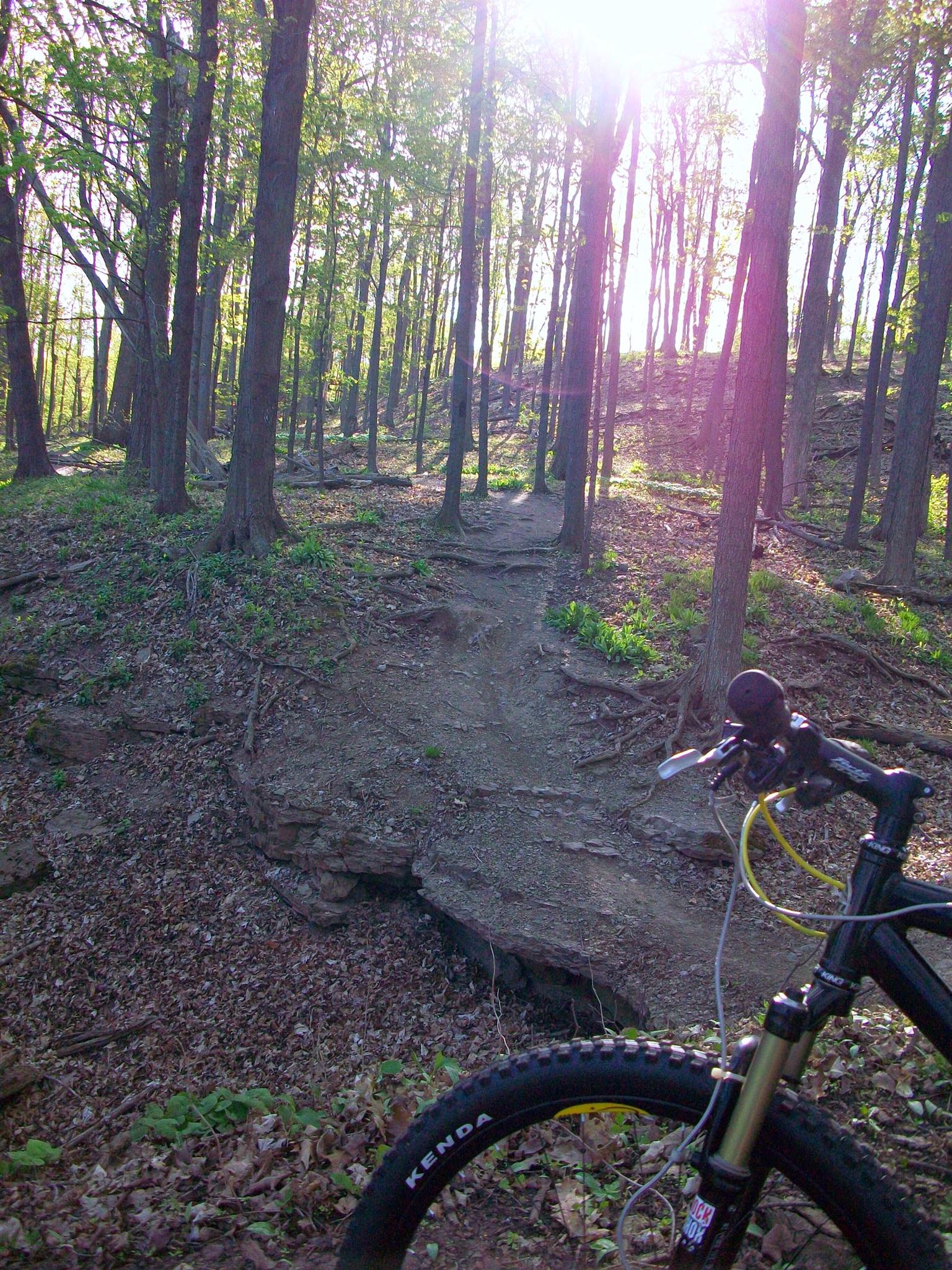 Image of a forested area with sun shining through the trees, showing a dirt bike trail. A mountain bike is partially visible in the foreground, with a focus on the handlebars and tire. The setting is lush with green foliage and scattered leaves on the ground. The path appears rugged and hilly, suggesting an outdoor recreational scene.