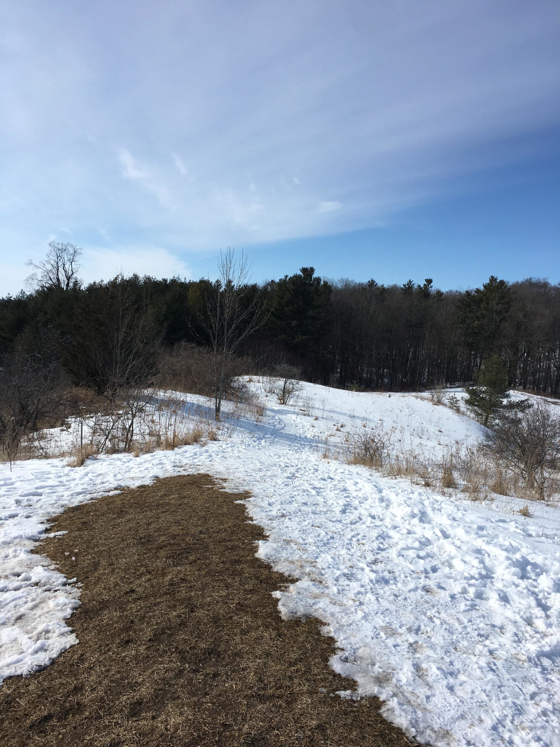 A winter landscape featuring a winding path bordered by patches of snow and areas of bare earth. The scene includes gently rolling hills and a backdrop of trees, under a clear blue sky with wispy clouds. Dryden Tract mountain bike trail.