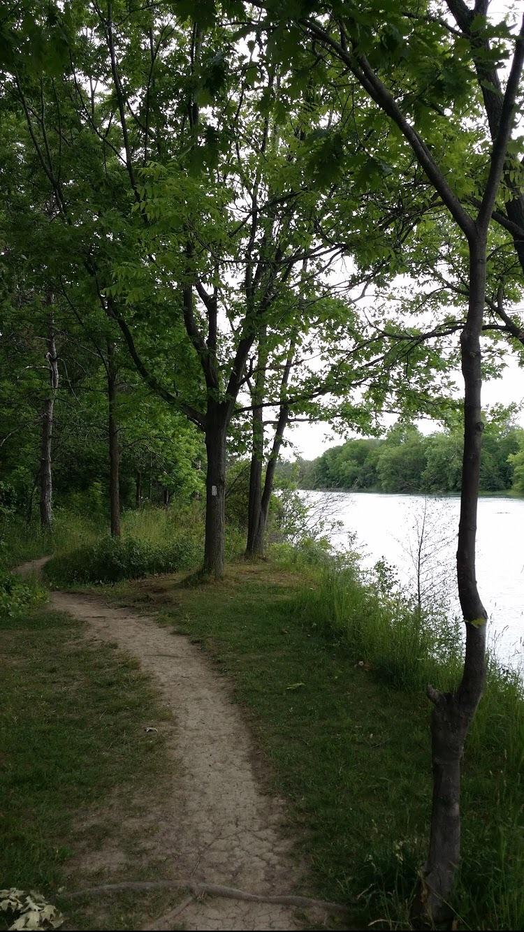 A tranquil dirt path winding alongside a river, bordered by lush greenery and trees. The scene features a peaceful natural setting with gentle foliage overhead and soft grass underfoot. The river flows in the background, enhancing the serene atmosphere.