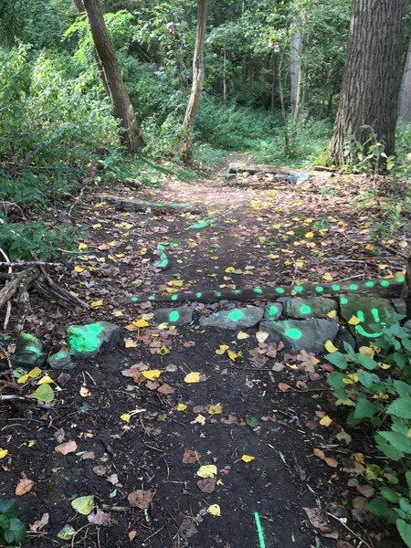 A dirt path winding through a wooded area, covered with fallen leaves and marked by bright green paint. The trail is flanked by trees and shrubs, creating a natural and serene environment. Robinwoet trail mountain bike trail.