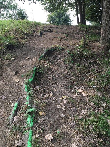 A dirt path leading up a slight inclining slope, marked by green paint along the ground. The path is surrounded by grass and scattered leaves, with trees visible in the background. Robinwoet trail mountain bike trail.