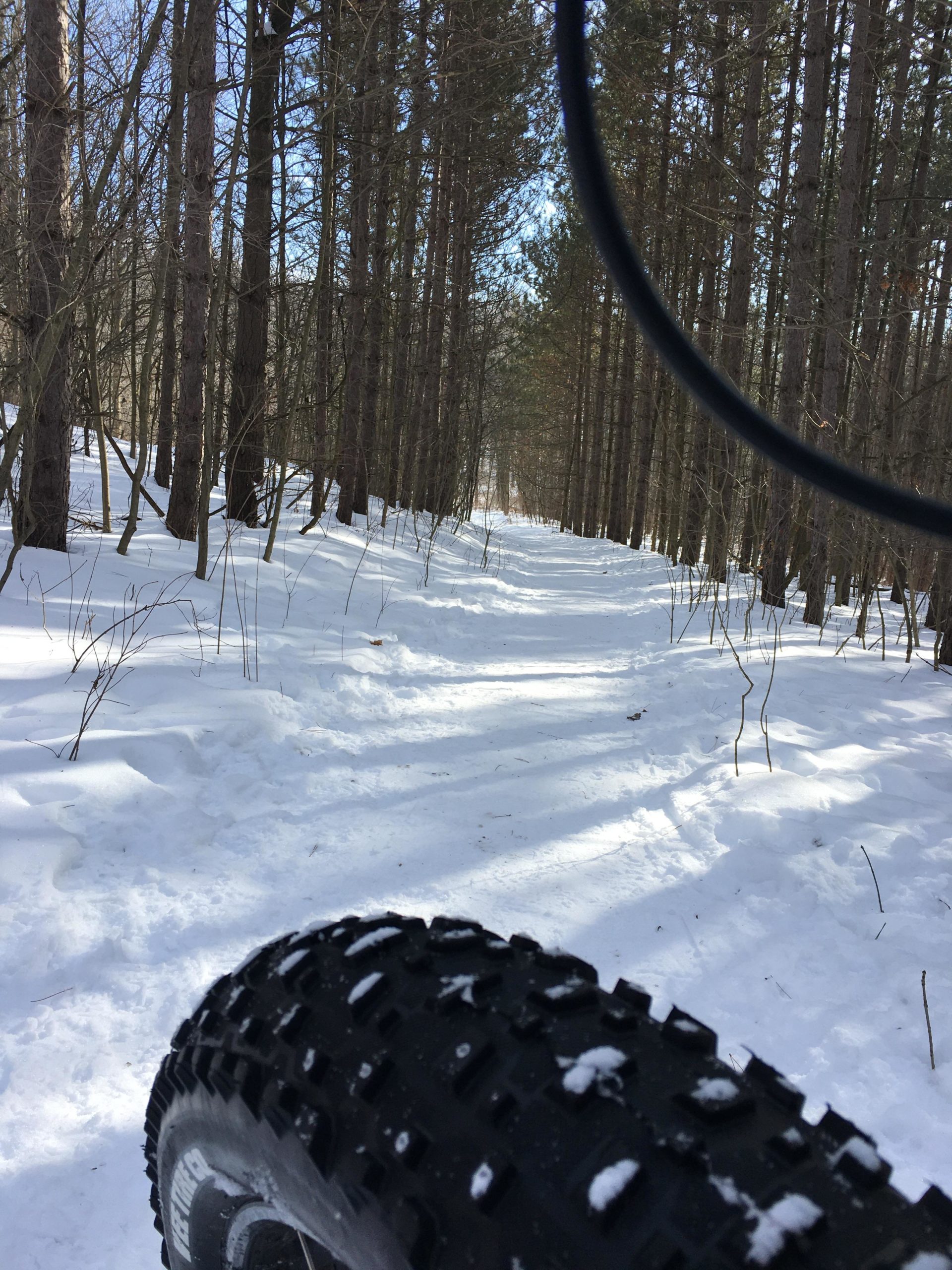 A winter scene showcasing a snowy trail through a forest, with tall trees lining both sides. The foreground features a close-up of a large, knobby tire, suggesting a vehicle or bike is present, path partially obscured by snow. Sunlight filters through the trees, creating a serene atmosphere. Dryden Tract mountain bike trail.