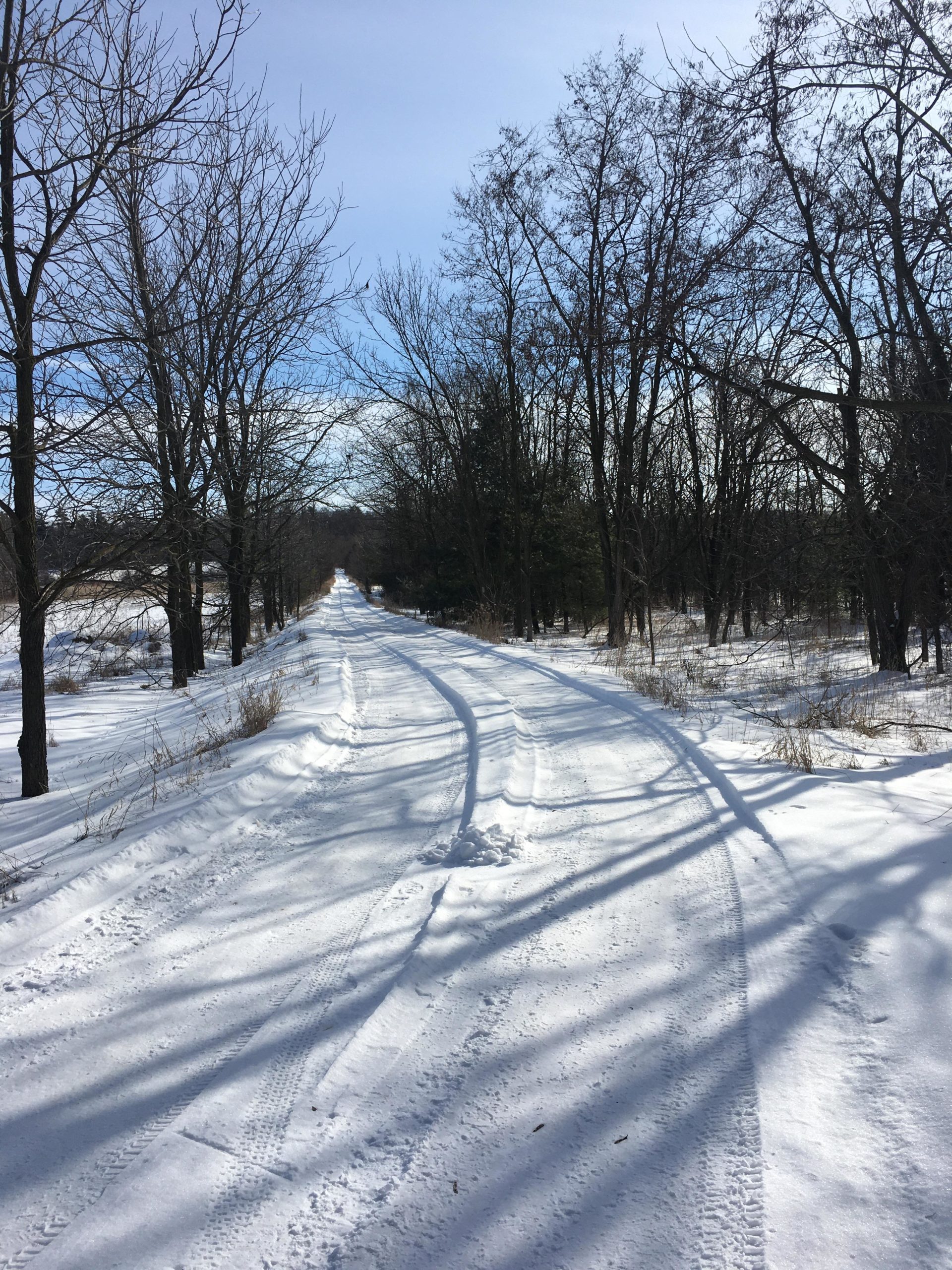 A snow-covered road surrounded by bare trees under a clear blue sky, with tire tracks visible in the fresh snow. The scene evokes a tranquil winter landscape. Dryden Tract mountain bike trail.