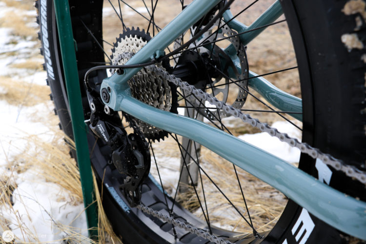 diamondback el oso gordo