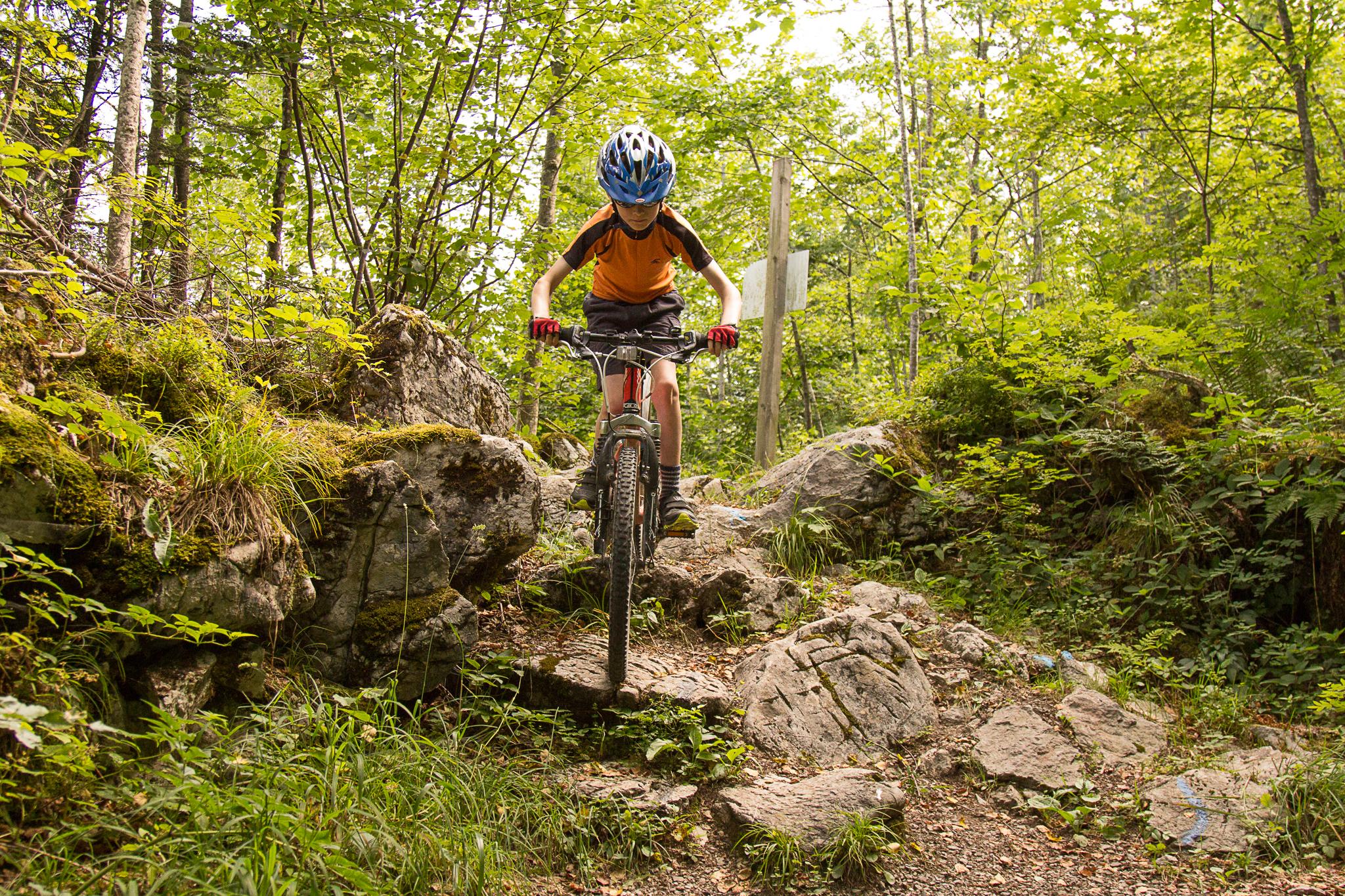 A young boy wearing a helmet and an orange shirt is riding a mountain bike over rocky terrain in a forested area. He is focused on navigating the uneven path surrounded by lush greenery and trees.