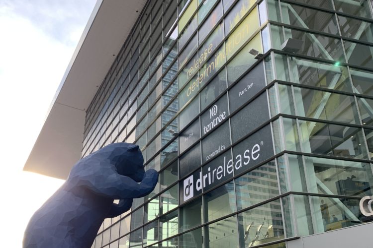 A large blue bear sculpture is positioned outside a modern glass building, with people walking nearby. The building features multiple large windows displaying colorful advertising and branding for a company called drirelease. The sky is partly cloudy, providing a bright backdrop to the scene.