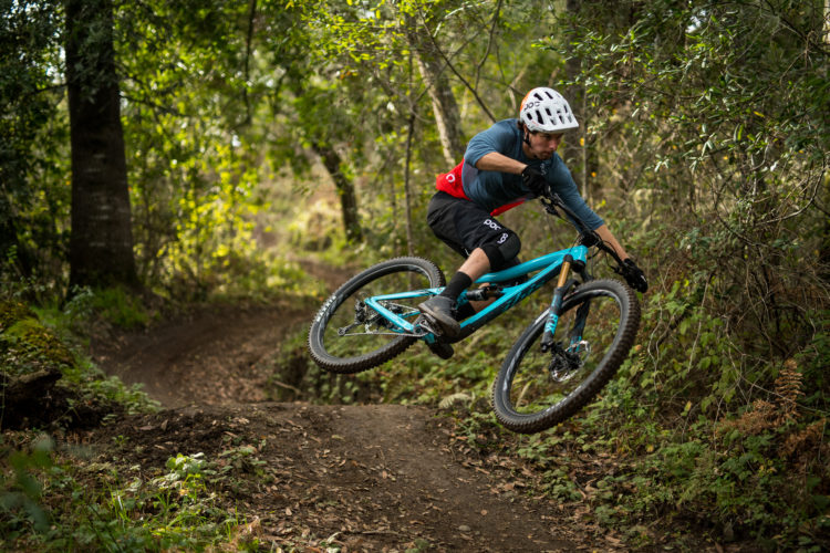 A mountain biker performing a jump on a trail surrounded by trees and greenery. The rider is wearing a helmet and protective gear, showcasing an action-packed moment in a natural setting.