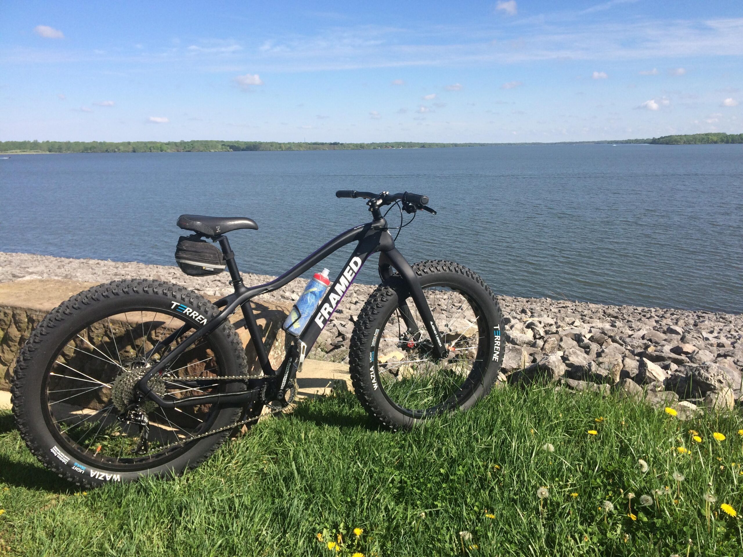 Framed Alaskan Carbon: A black Framed fat bike parked on grassy terrain near a waterfront, with a rocky shoreline and a clear blue sky in the background. Dandelions and other vegetation are visible in the foreground, and the calm water extends into the distance.
