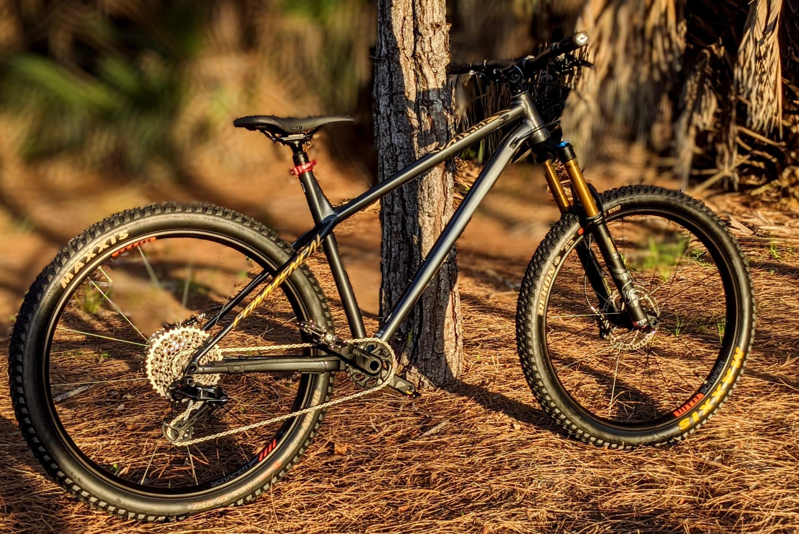 Commencal Meta HT 1: A mountain bike resting against a tree, set in a wooded area with pine needles on the ground. The bike features a sleek black frame, thick tires labeled 'MAXXIS', and a prominent rear cassette. Sunlight filters through the trees, creating a warm, natural ambiance.