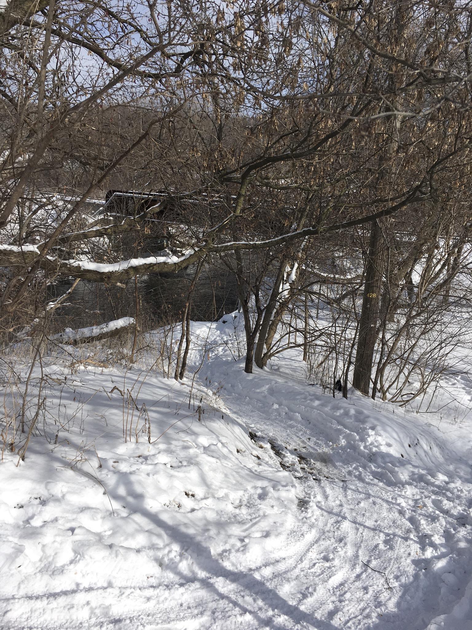 A snowy landscape featuring a partially snow-covered path beside a river, surrounded by bare trees and branches. Sunlight filters through the trees, highlighting the white snow and creating soft shadows on the ground. Don Valley mountain bike trail.