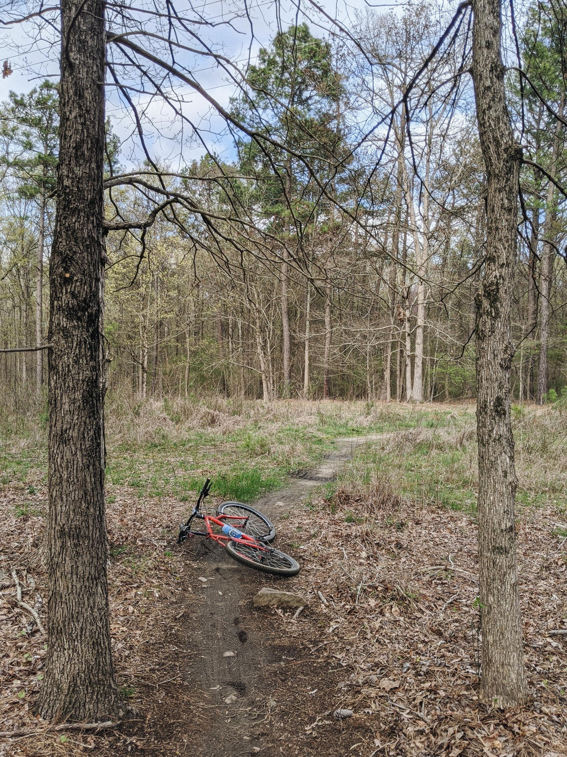 A mountain bike lies on its side along a dirt trail surrounded by trees and sparse underbrush in a forested area. The sky is partly cloudy, and the scene indicates a peaceful, natural environment. Southside Park mountain bike trail.