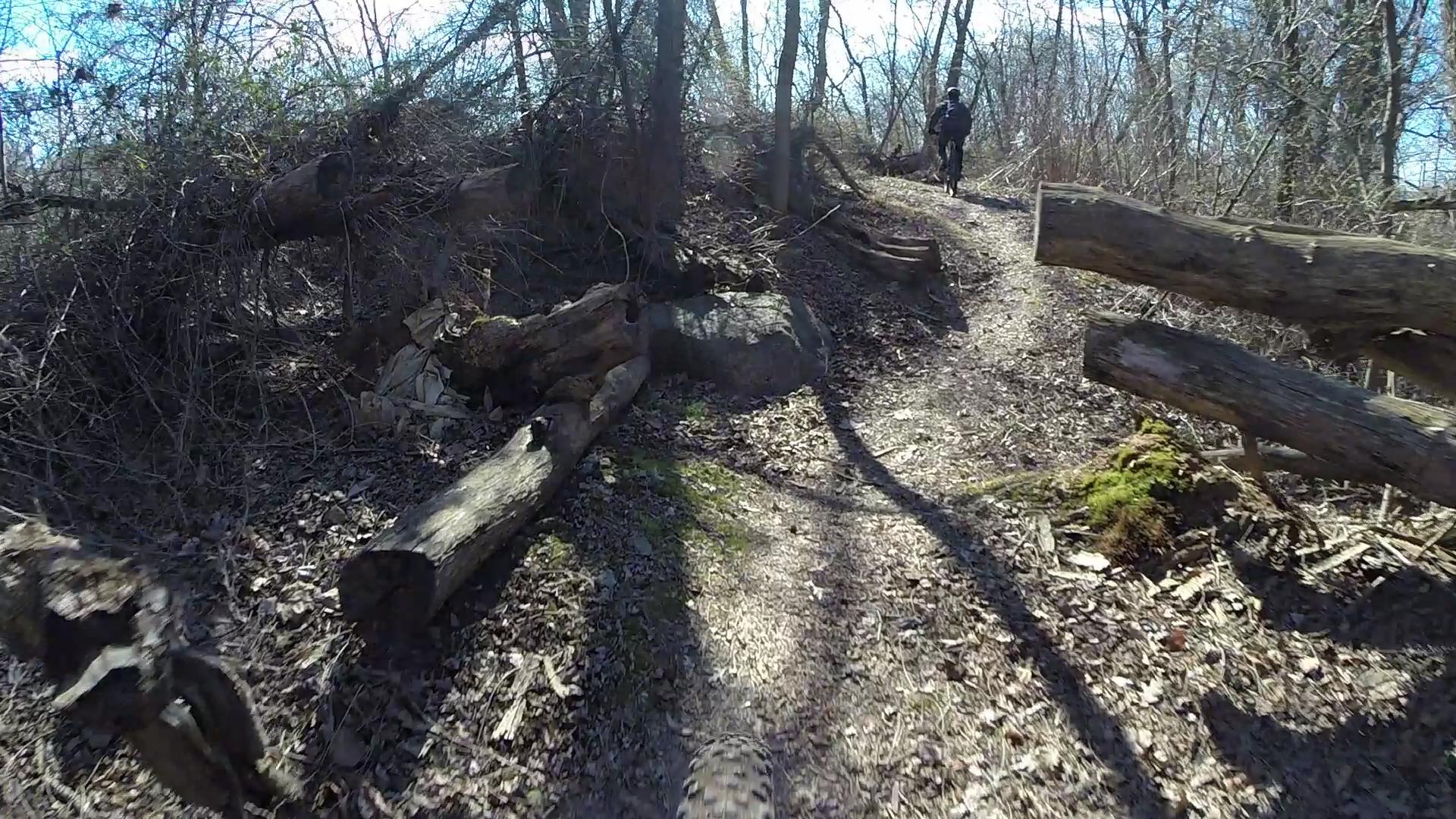 A narrow, wooded trail covered with fallen leaves and mossy stones, winding through a forest. Visible logs and branches are scattered along the path, and a person in the distance rides a mountain bike. Sunlight filters through the trees, casting shadows on the ground. Richmond Avenue and Forest Hill road mountain bike trail.