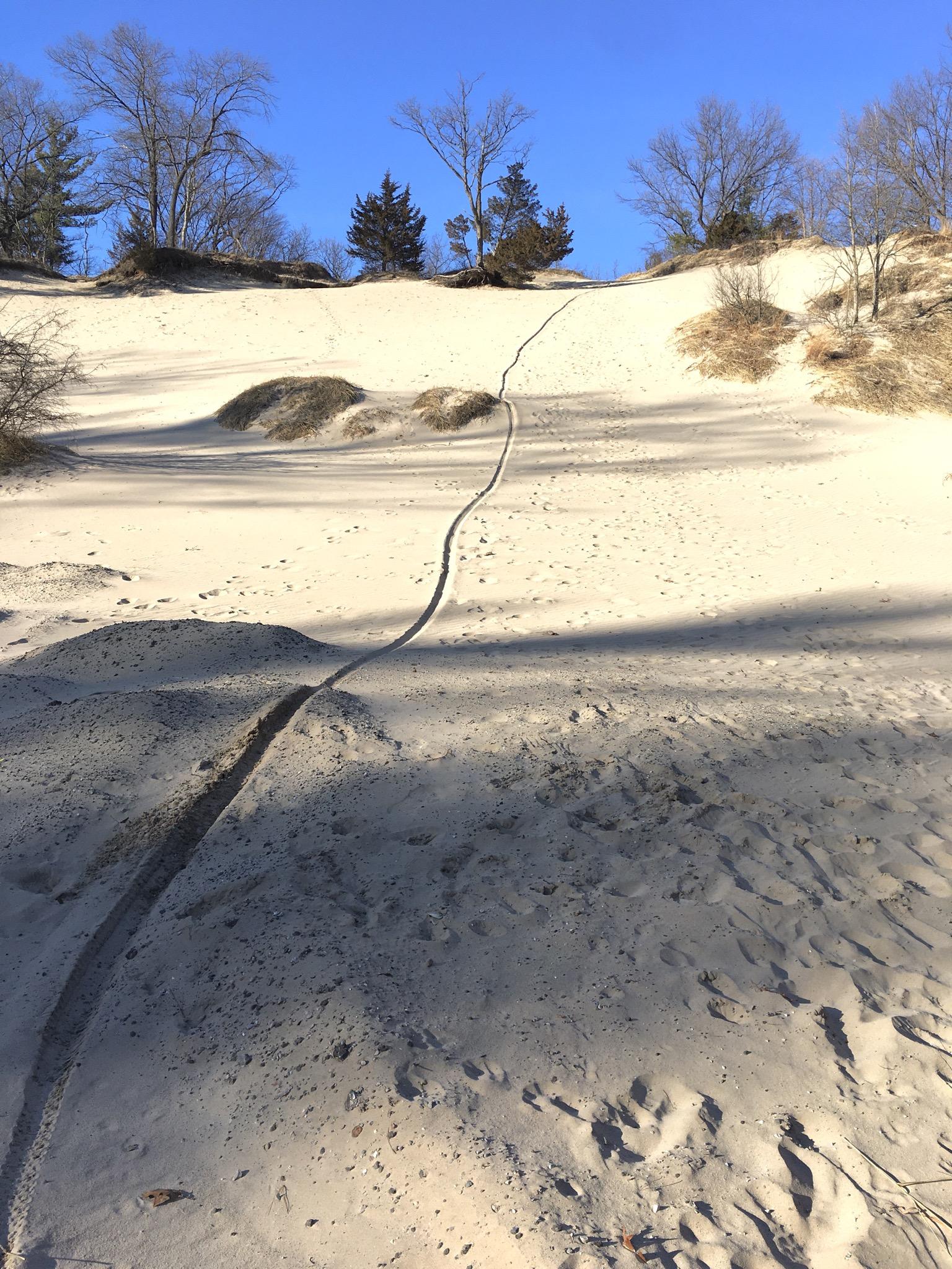 A sandy dune landscape under a clear blue sky, showing a winding path through the sand. Sparse trees and vegetation are visible in the background, with gentle hills and shadows created by the sun. Small footprints and tire marks can be seen on the surface of the sand. Lambton County Heritage Forest mountain bike trail.