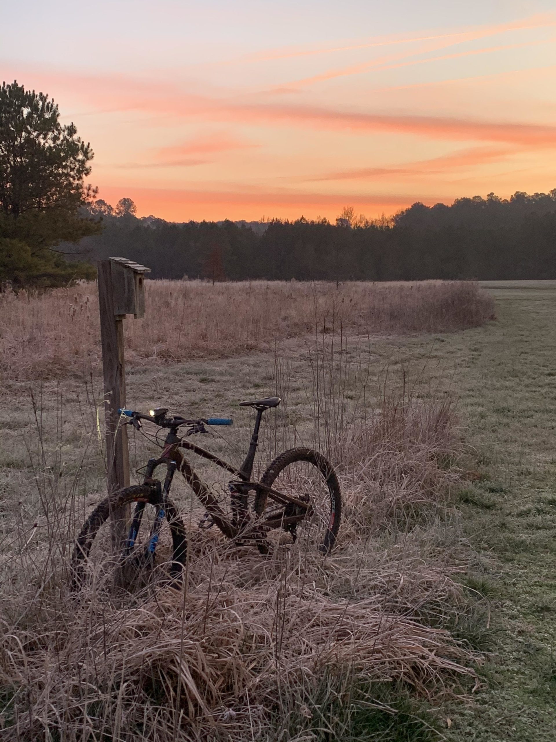 A mountain bike resting against a wooden post in an open grassy field at dawn, with a colorful sky transitioning from orange to purple. Frost covers the ground and tall grass surrounding the bike, with trees in the background. Allatoona Creek Park mountain bike trail.