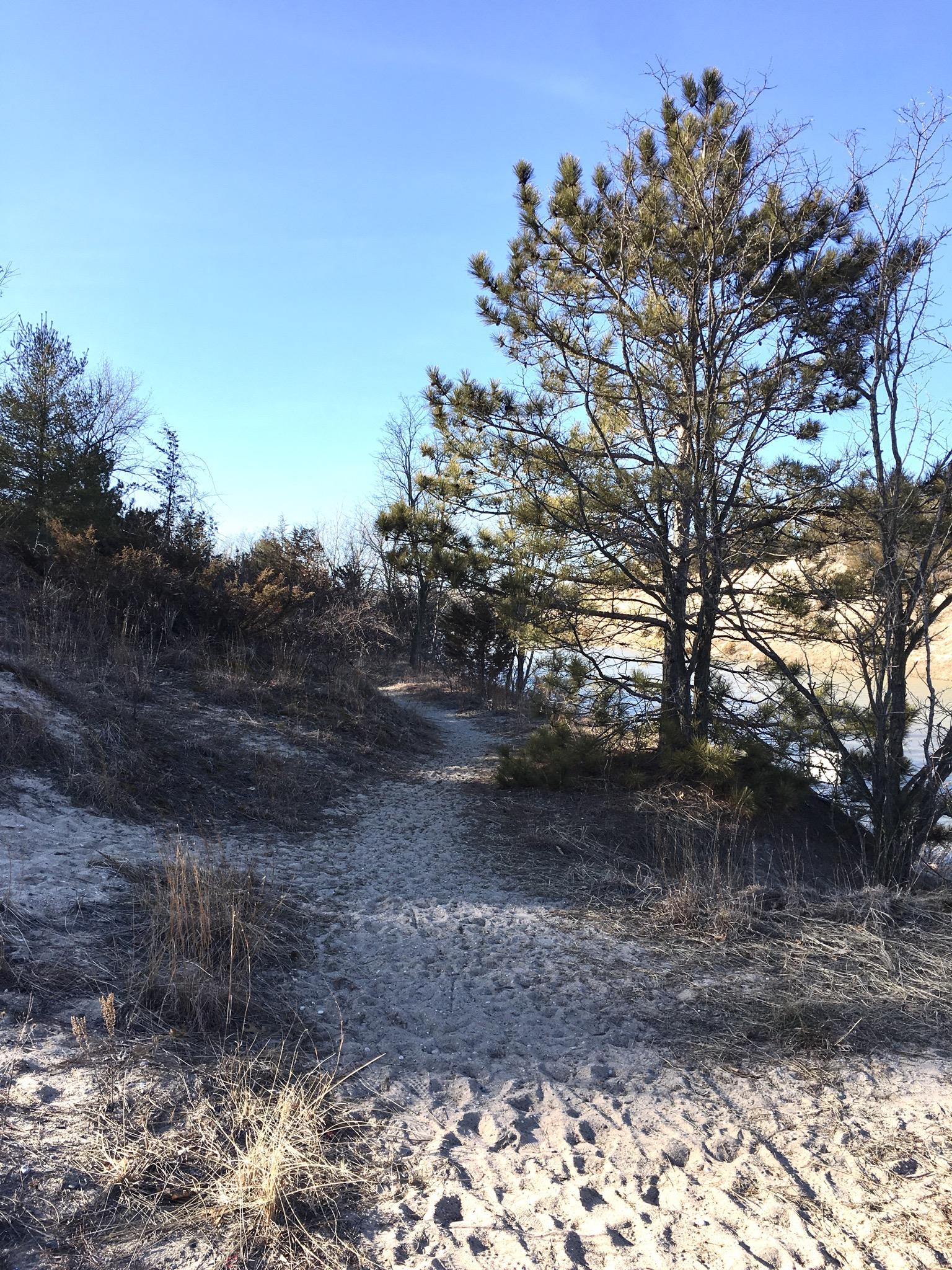 A sandy path winding through a lightly wooded area, bordered by grass and small shrubs, with a clear blue sky overhead. The path leads towards a river or body of water, partially visible to the right. Lambton County Heritage Forest mountain bike trail.
