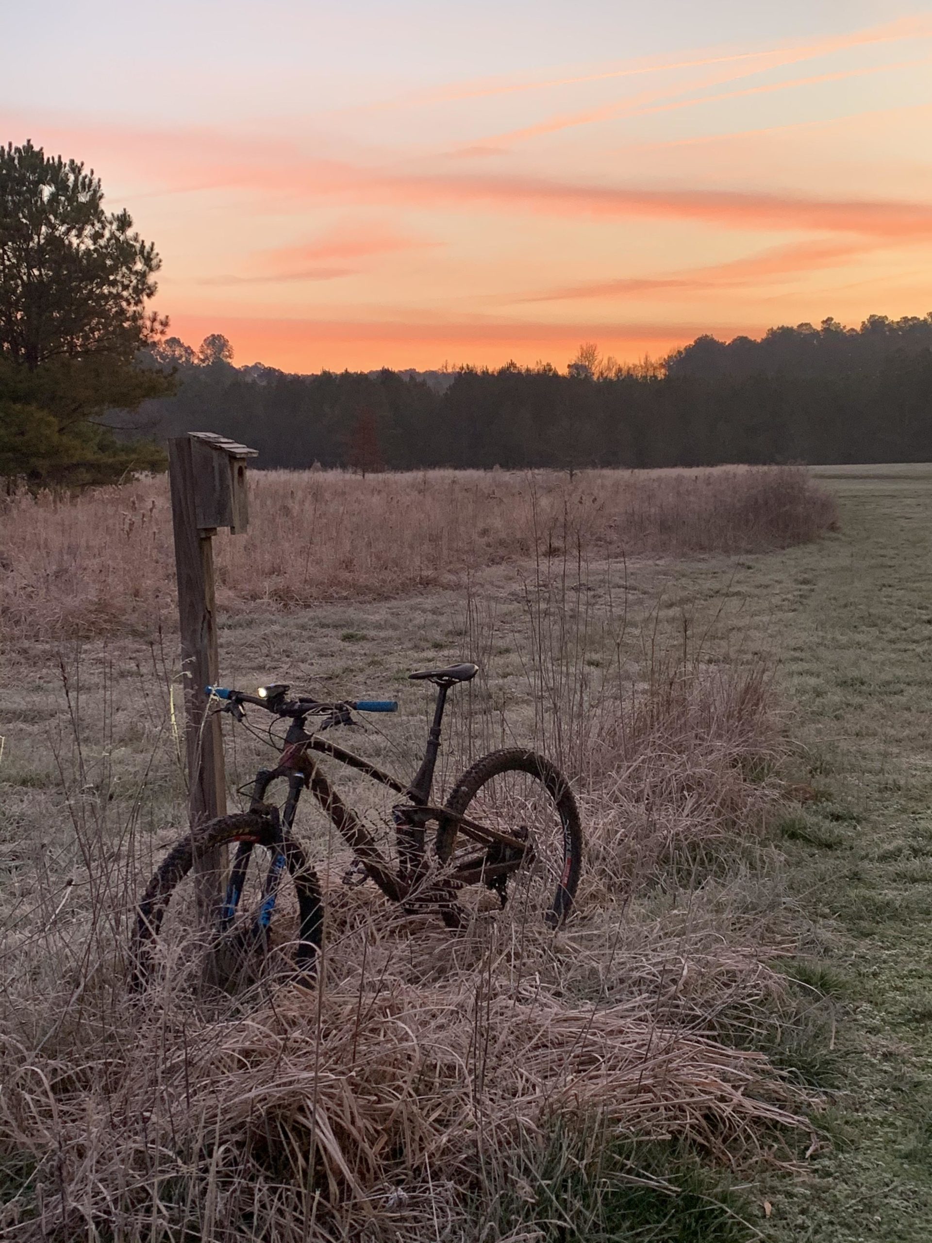 A mountain bike leaning against a wooden post in a grassy field at sunrise, with a colorful sky featuring shades of pink and orange. Trees are visible in the background, and the ground is covered in frost. Allatoona Creek Park mountain bike trail.