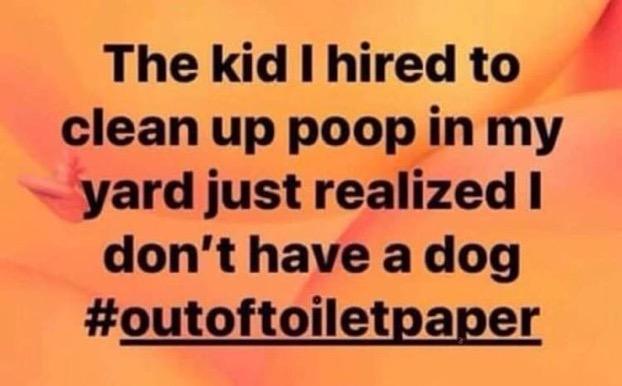A humorous image featuring a text overlay that reads: "The kid I hired to clean up poop in my yard just realized I don’t have a dog #outoftoiletpaper." The background is a soft, colorful gradient. Blankets Creek mountain bike trail.