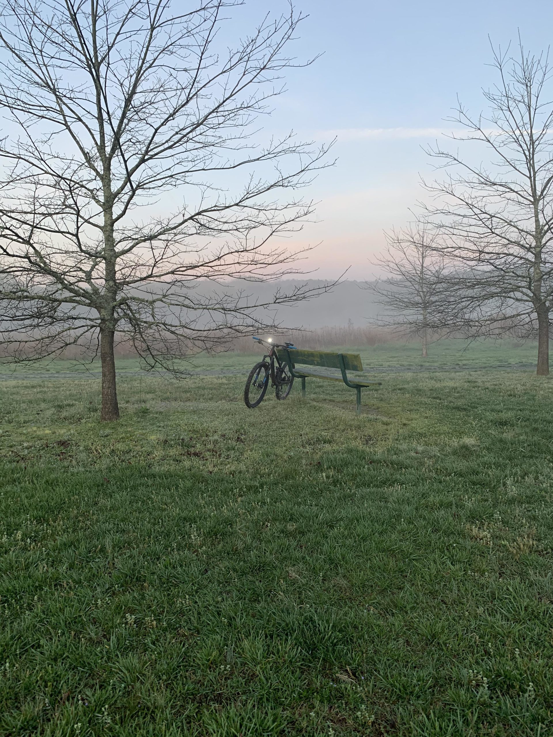 A bicycle leaning against a green bench in a misty park, surrounded by leafless trees and lush grass, with a soft pastel sky in the background. Allatoona Creek Park mountain bike trail.
