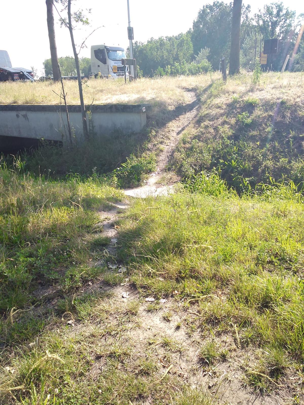 A grassy area with a dirt path leading to a low concrete structure, surrounded by trees and vehicles in the background. The scene is illuminated by sunlight, creating a bright and open atmosphere. Moesenbroek gravel mountain bike trail.