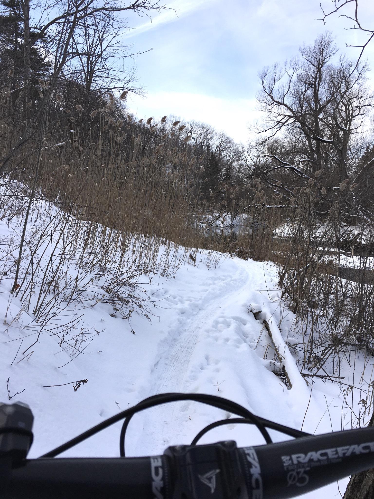 A winter trail covered in snow, with tire tracks visible. In the foreground, a bike handlebar is shown, while tall grass and leafless trees frame the scene. A hint of a water body can be seen in the background under a cloudy sky. Don Valley mountain bike trail.