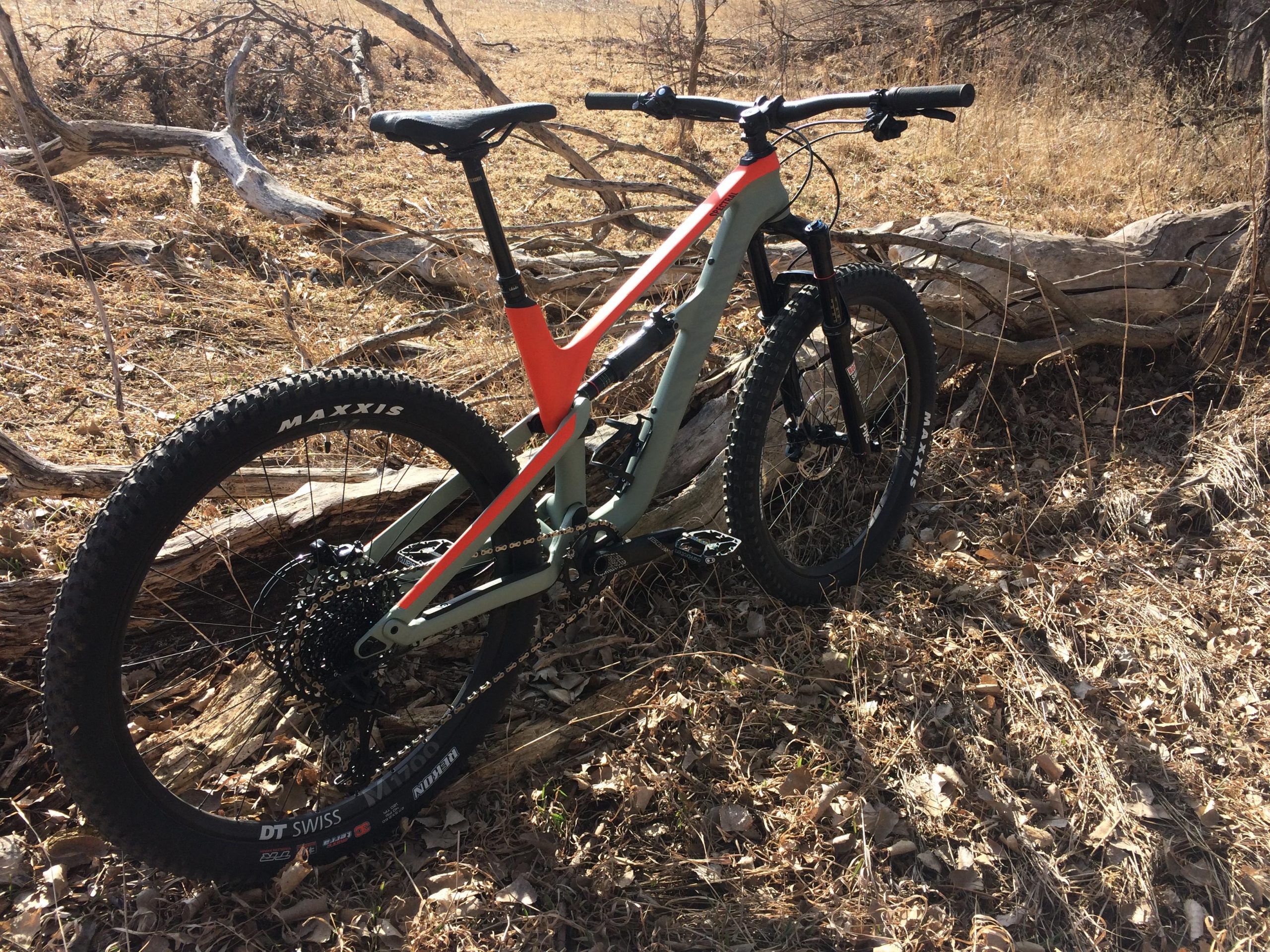 Canyon Spectral CF: Mountain bike leaning against a log in a grassy area with dry leaves and twigs scattered on the ground. Sunlight casts shadows, highlighting the bike's features, including its frame and tires.