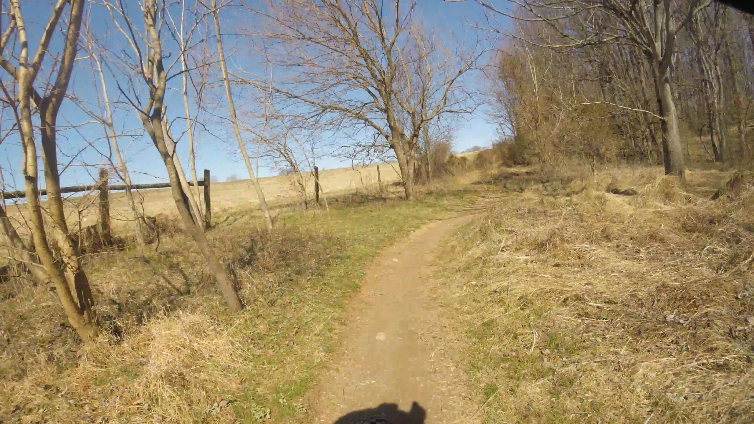 A dirt path winding through a rural area, flanked by sparse trees and tall grass. The landscape features a clear blue sky and a distant field, indicating a serene outdoor setting. The scene captures the tranquility of nature. Schaeffer Farms mountain bike trail.