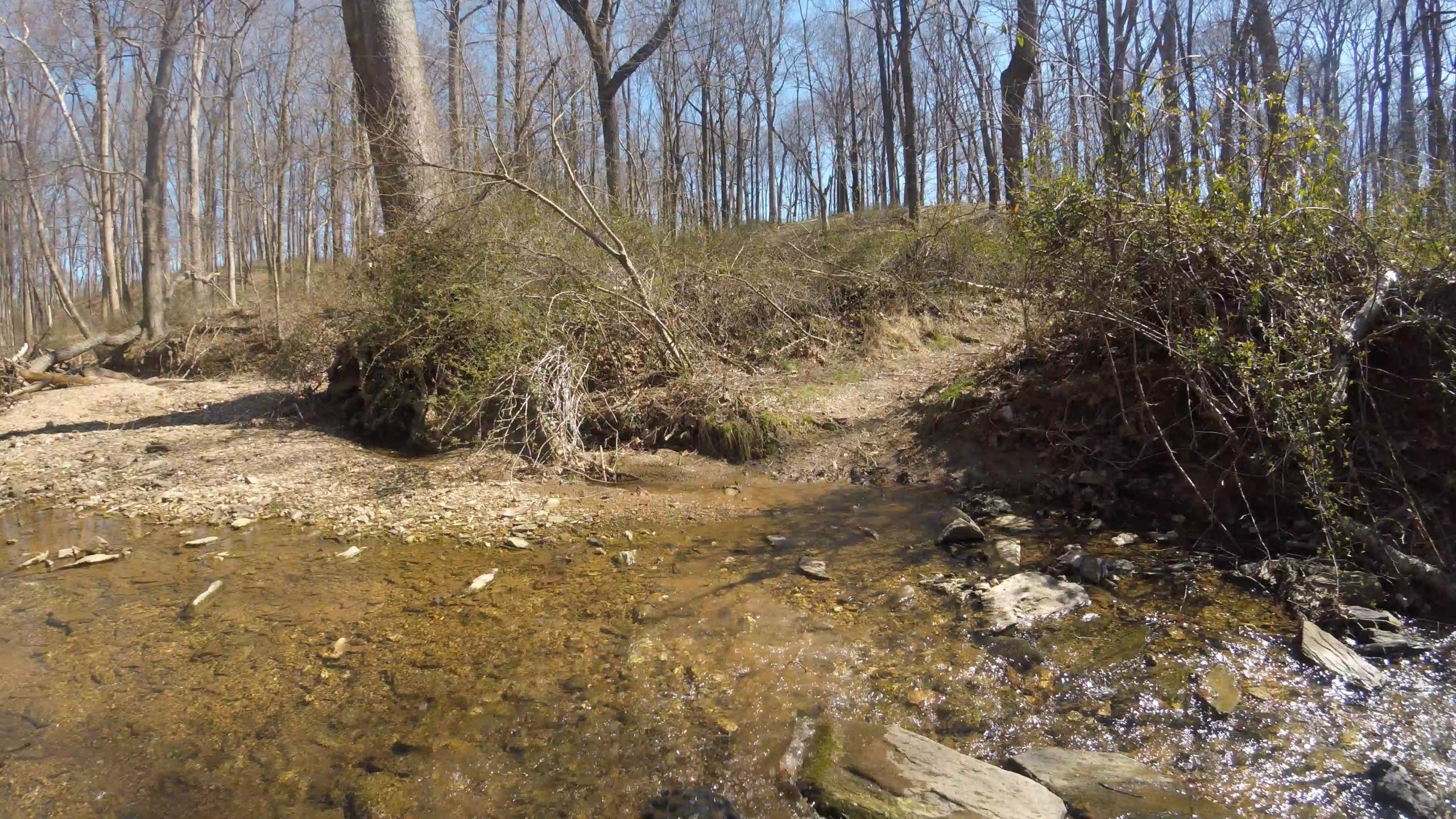 A serene outdoor scene depicting a clear creek flowing through a wooded area. The landscape features bare trees, dry twigs, and scattered rocks along the water's edge, with a gentle slope leading up from the creek. The sky is clear, suggesting a bright and sunny day. Schaeffer Farms mountain bike trail.