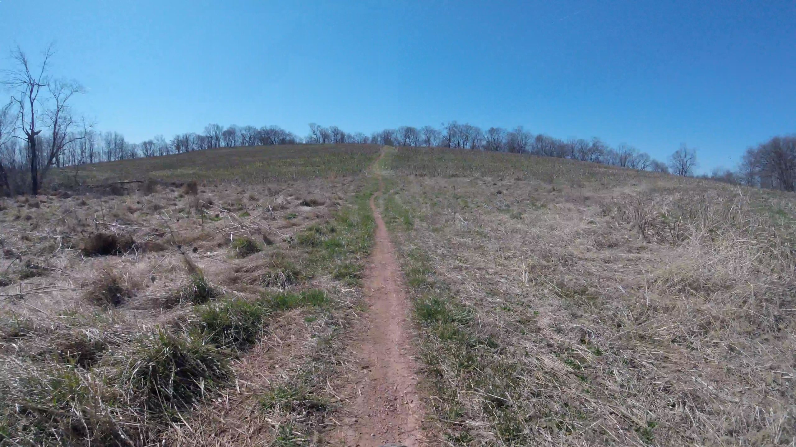 A dirt path winding through a grassy field, leading up a hill under a clear blue sky. Sparse trees line the horizon. The landscape appears dry, with patches of grass and straw scattered throughout. Schaeffer Farms mountain bike trail.