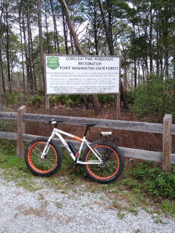 A white and orange mountain bike is leaning against a wooden fence in front of a sign that reads "Longleaf Pine-Wiregrass Restoration, Point Washington State Forest," surrounded by trees and vegetation. The sign provides information about the forest restoration project. Longleaf Pine Greenway Trail mountain bike trail.