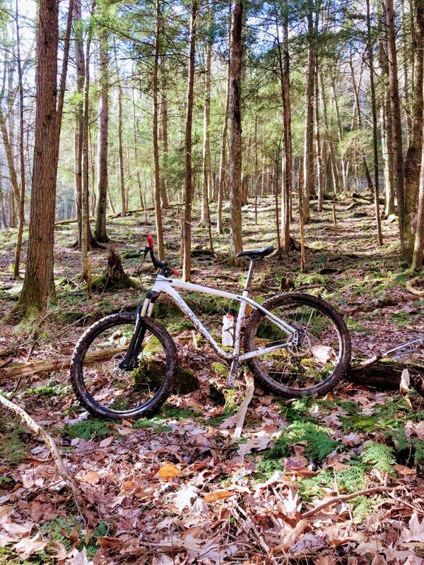 A mountain bike resting on a mossy forest floor, surrounded by tall trees and scattered autumn leaves. Sunlight filters through the canopy, illuminating the natural setting. Kennerdell mountain bike trail.