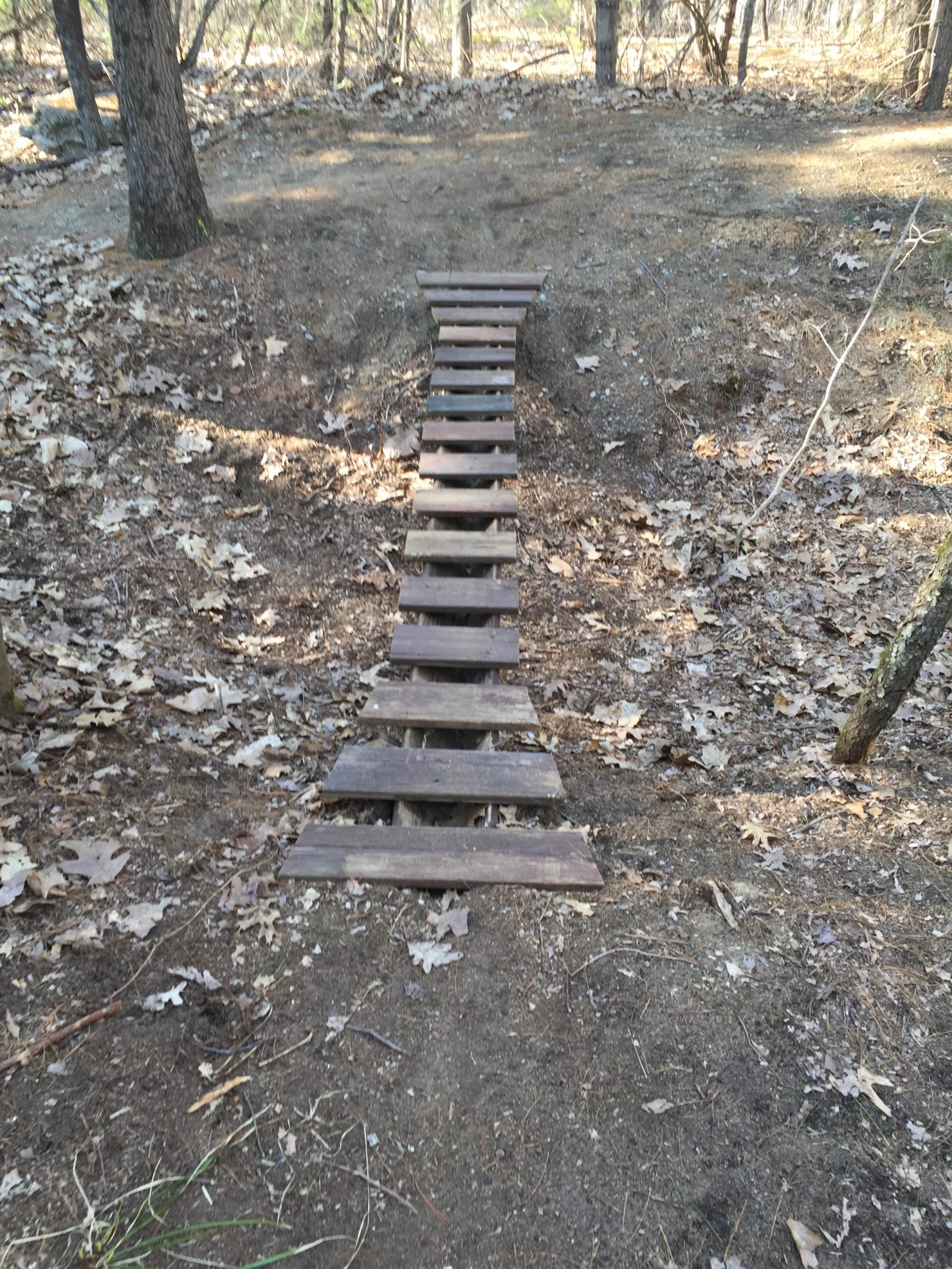 A narrow wooden bridge made of planks, spanning a small dirt path in a forested area. Surrounding terrain covered with dry leaves, bare ground, and trees in the background. Hitchinpost Greens mountain bike trail.