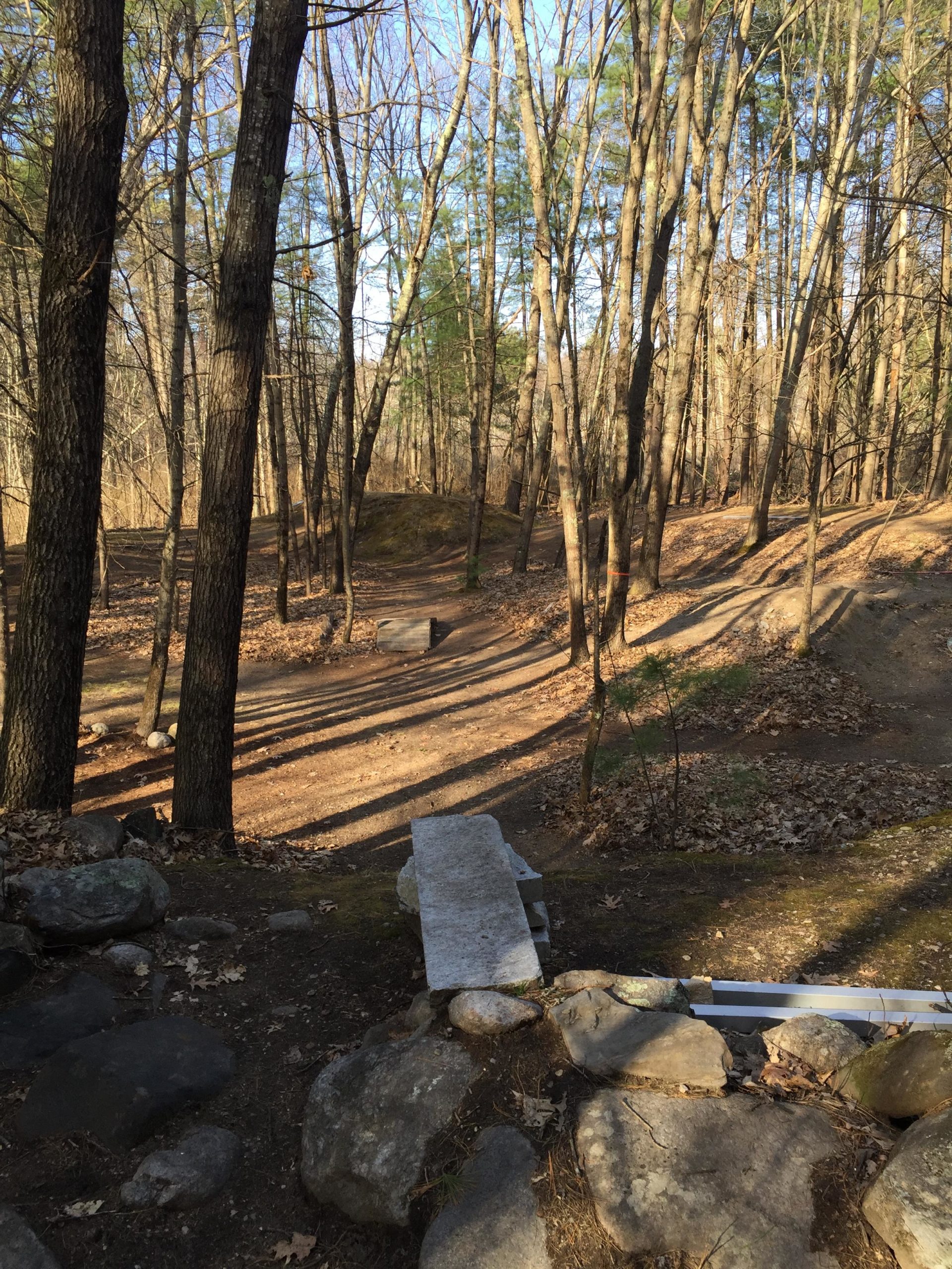 A wooded area featuring tall trees and scattered rocks. The ground is covered with fallen leaves and dirt paths, leading through the landscape. Sunlight filters through the branches, creating a warm atmosphere. In the foreground, a flat stone slab rests on a rock formation, suggesting a natural seating area or observation point. Hitchinpost Greens mountain bike trail.