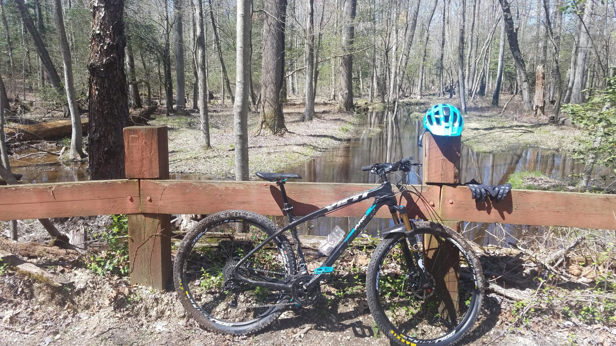 A mountain bike leaned against a wooden fence in a forest setting, with a small pond visible in the background. A blue helmet and black gloves are resting on the fence alongside the bike, amidst tall trees and greenery. Sunlight filters through the branches, creating a serene outdoor atmosphere. Cedarville State Forest mountain bike trail.