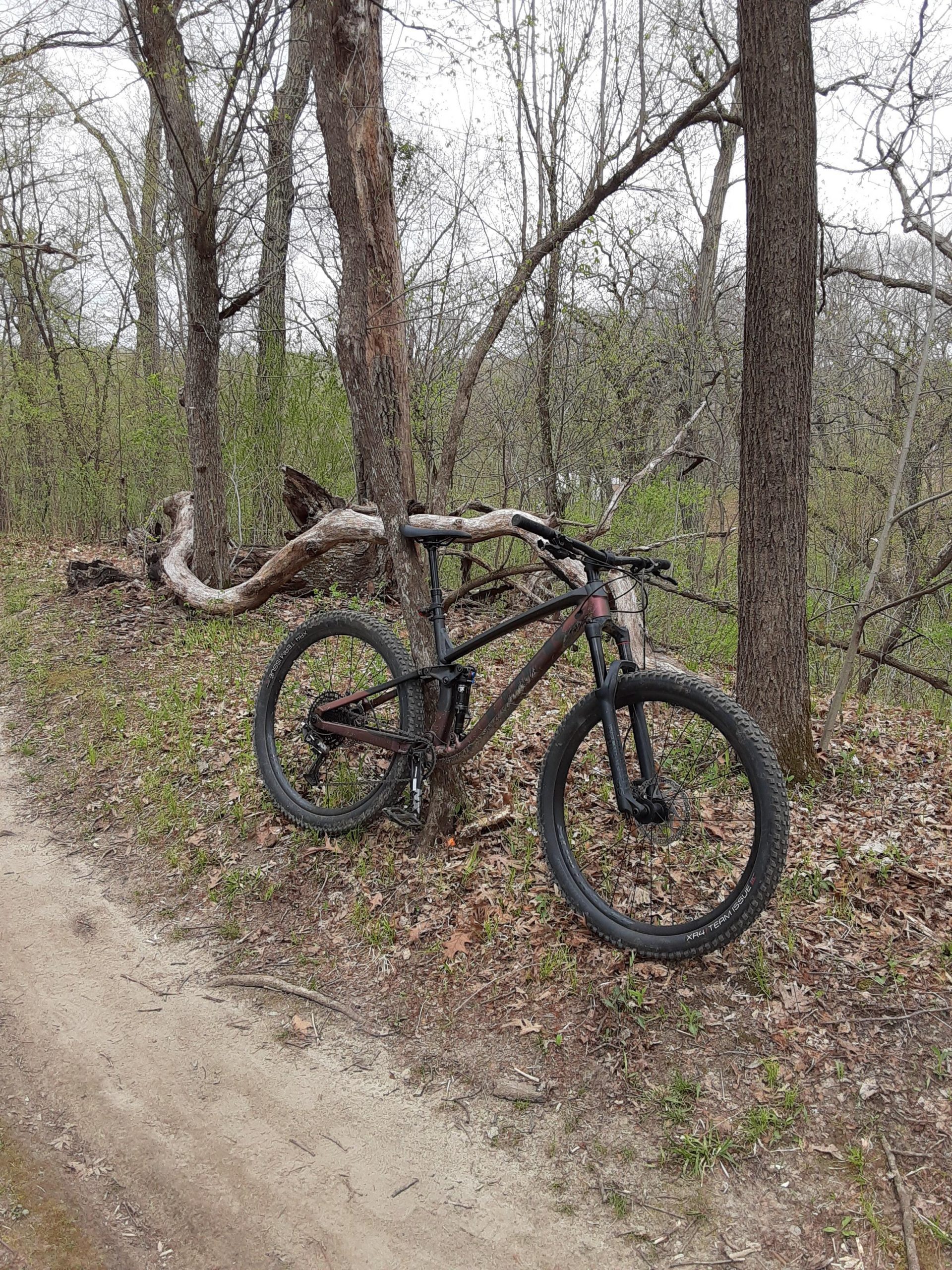 Trek Fuel EX 7: A mountain bike leaning against a tree on a dirt path surrounded by trees and budding foliage, with sparse leaves on the ground, suggesting early spring. The atmosphere is peaceful and natural, with a cloudy sky overhead.