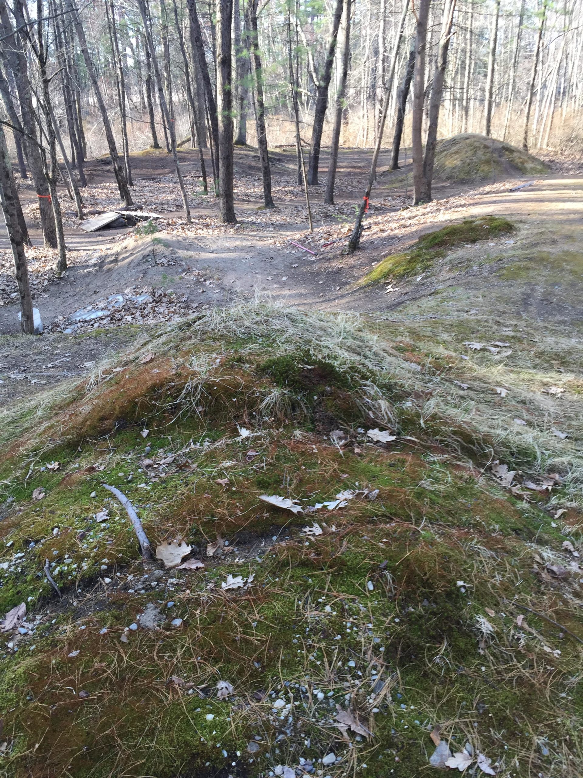 A view of a forested area featuring dirt bike or mountain bike trails. The landscape includes mounds of dirt and grass, with patches of leaves scattered on the ground. Tall trees stand in the background, and the trail paths weave through the natural terrain. The scene appears to be in a seasonal transition, suggesting a late fall or early spring atmosphere. Hitchinpost Greens mountain bike trail.