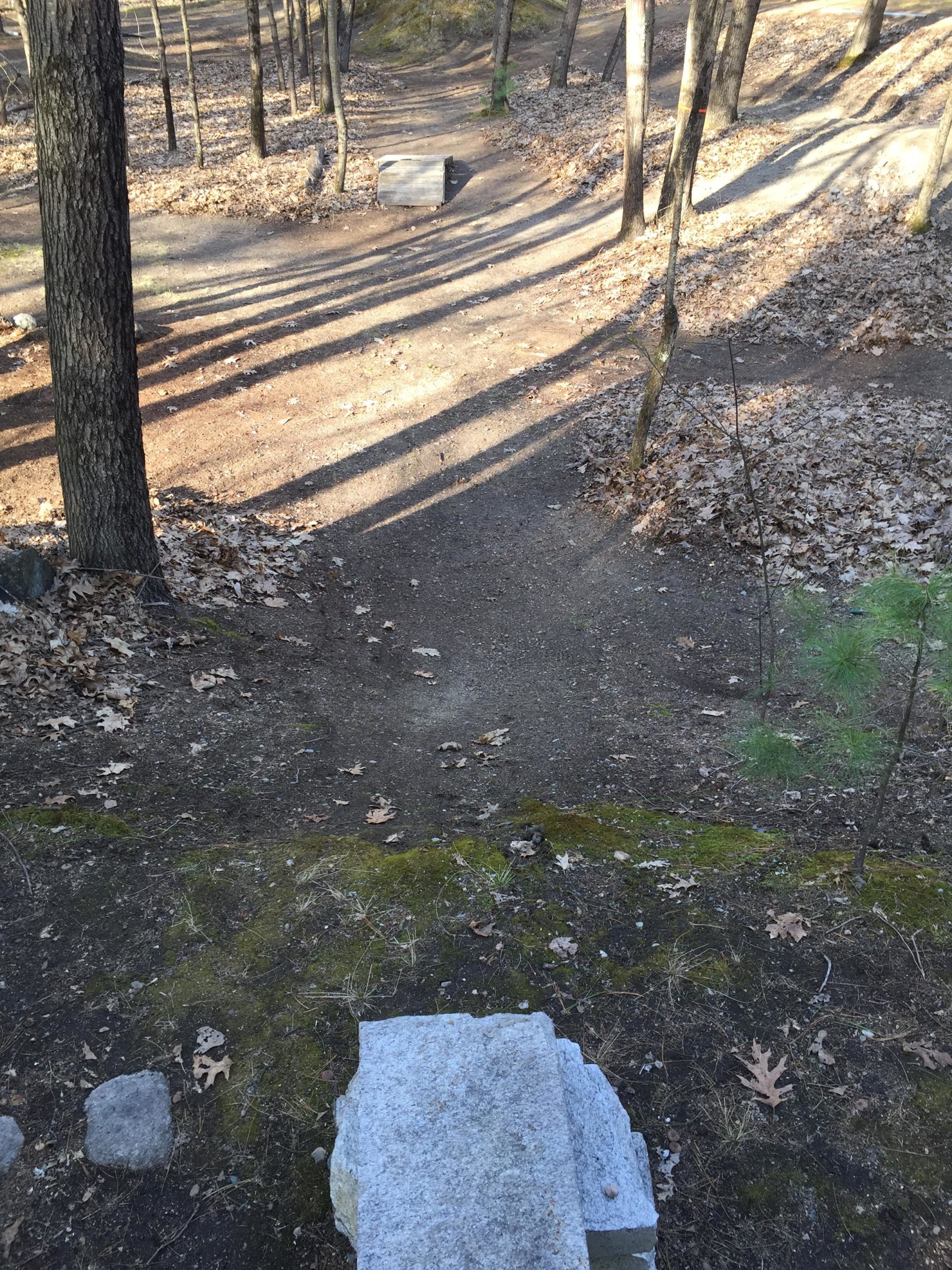 A viewpoint showing a dirt path winding through a wooded area, with long shadows cast by trees. In the foreground, there are stone steps leading down to the path. The ground is covered in fallen leaves and patches of moss, suggesting a natural outdoor setting. Hitchinpost Greens mountain bike trail.
