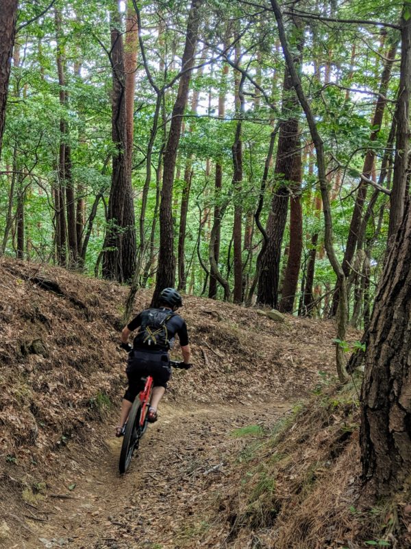 13 Days Exploring Japan’s Mountain Bike Trails and Cuisine