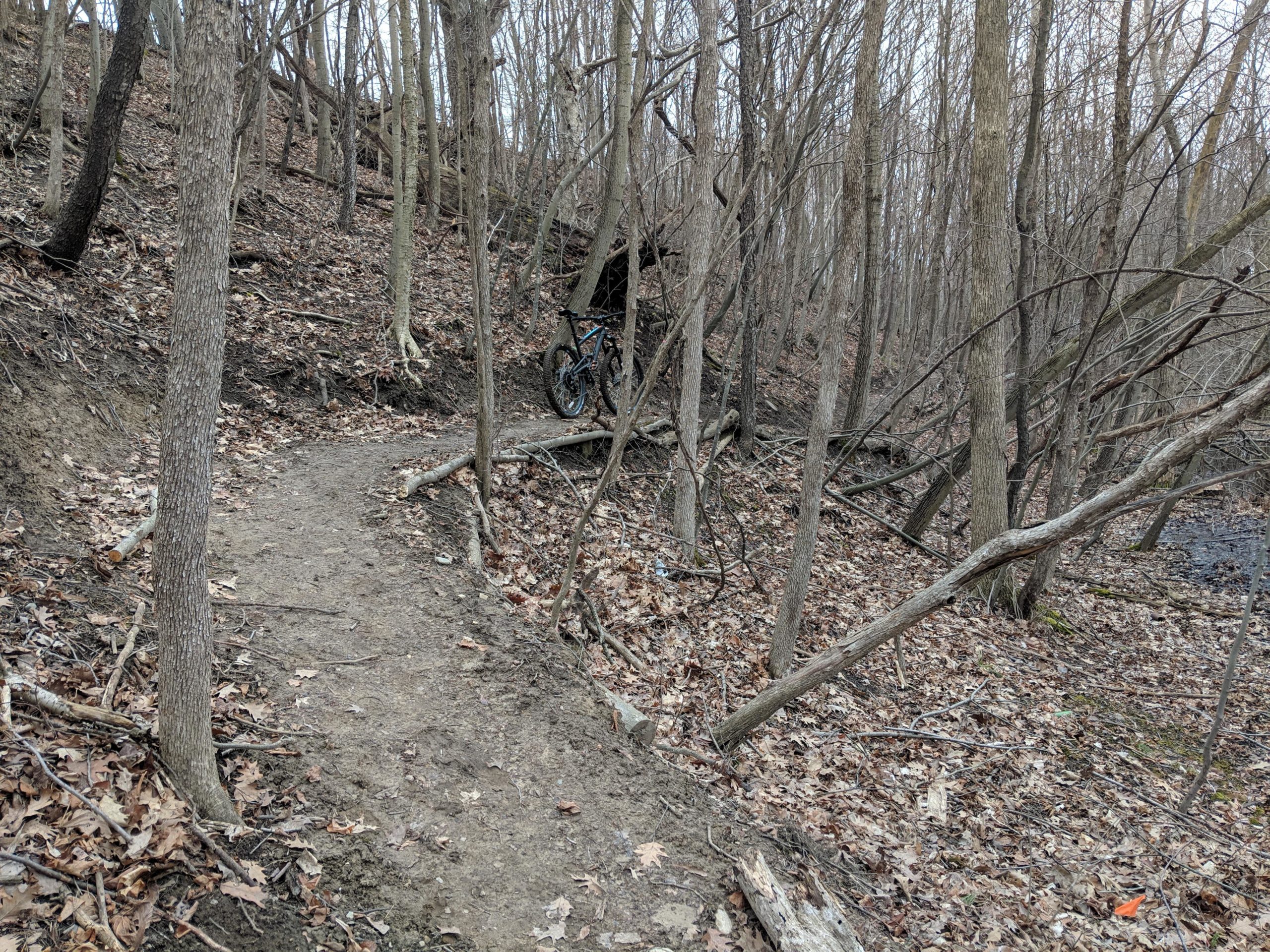 A narrow, dirt biking trail winds through a wooded area, featuring bare trees and scattered dry leaves on the ground. In the background, a mountain bike is positioned near the edge of the trail, surrounded by a natural landscape. Columbus County Park mountain bike trail.