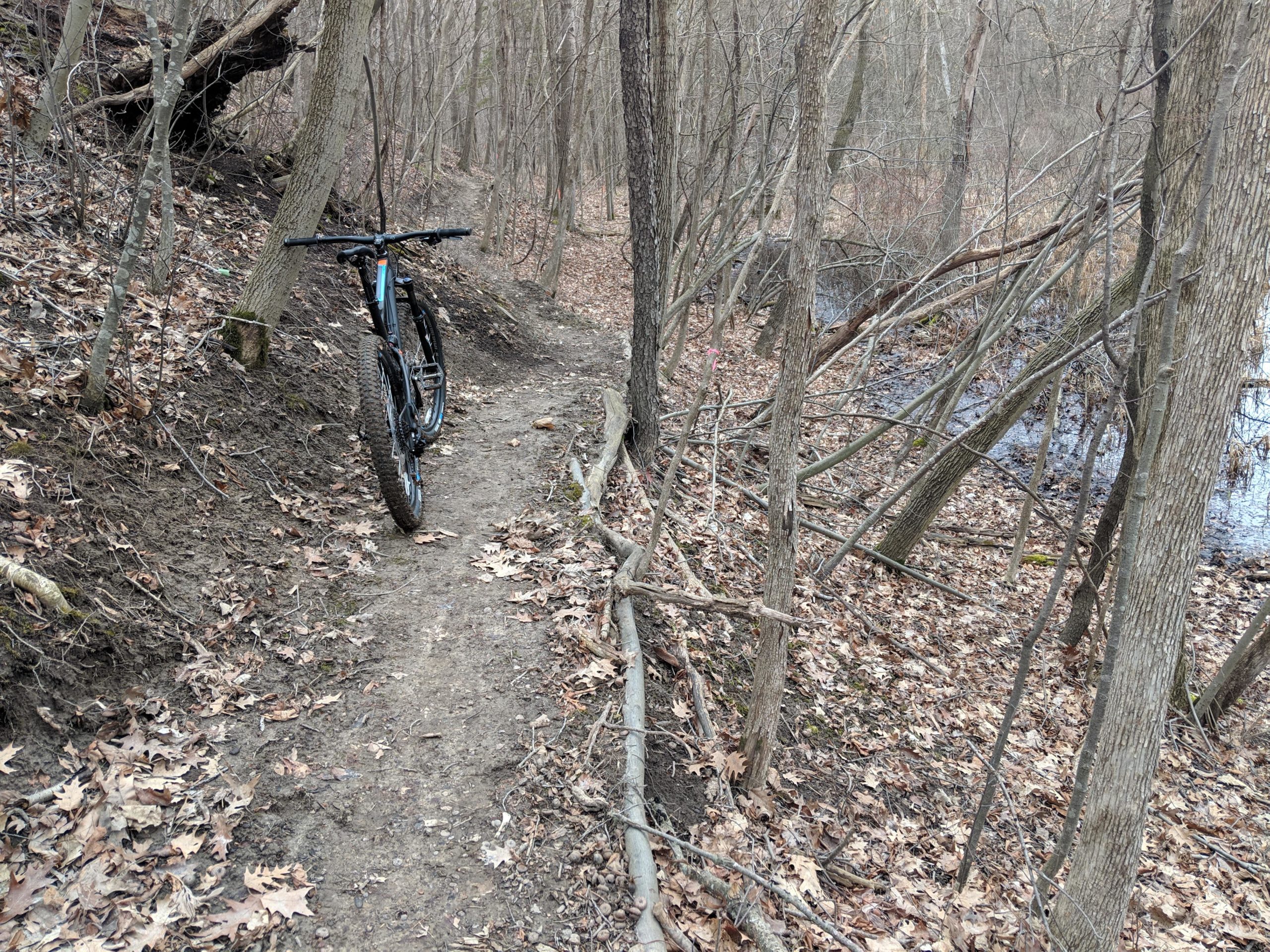 A mountain bike is resting on a narrow dirt trail surrounded by trees and fallen leaves. The trail winds through a wooded area with dry branches and a glimpse of a water body on the right side. Columbus County Park mountain bike trail.