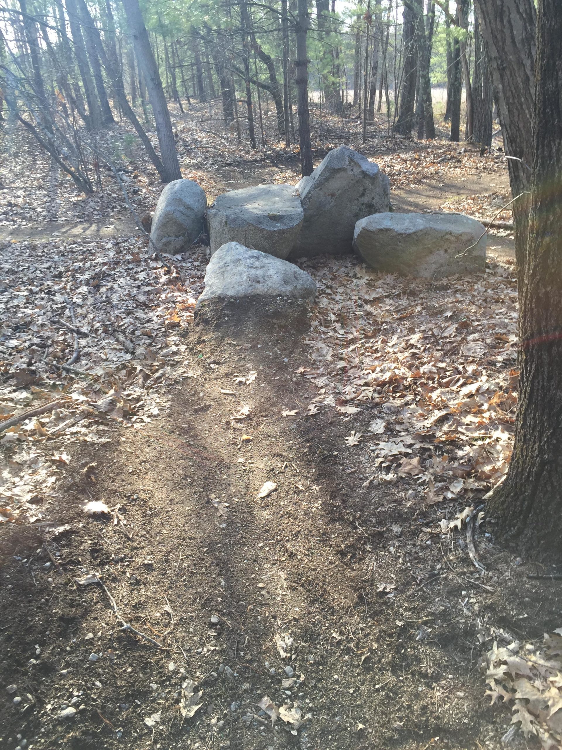 A dirt path through a wooded area, flanked by trees and scattered with fallen leaves. Several large rocks are positioned along the path, providing a natural barrier or seating area. The sunlight filters through the trees, casting soft shadows on the ground. Hitchinpost Greens mountain bike trail.