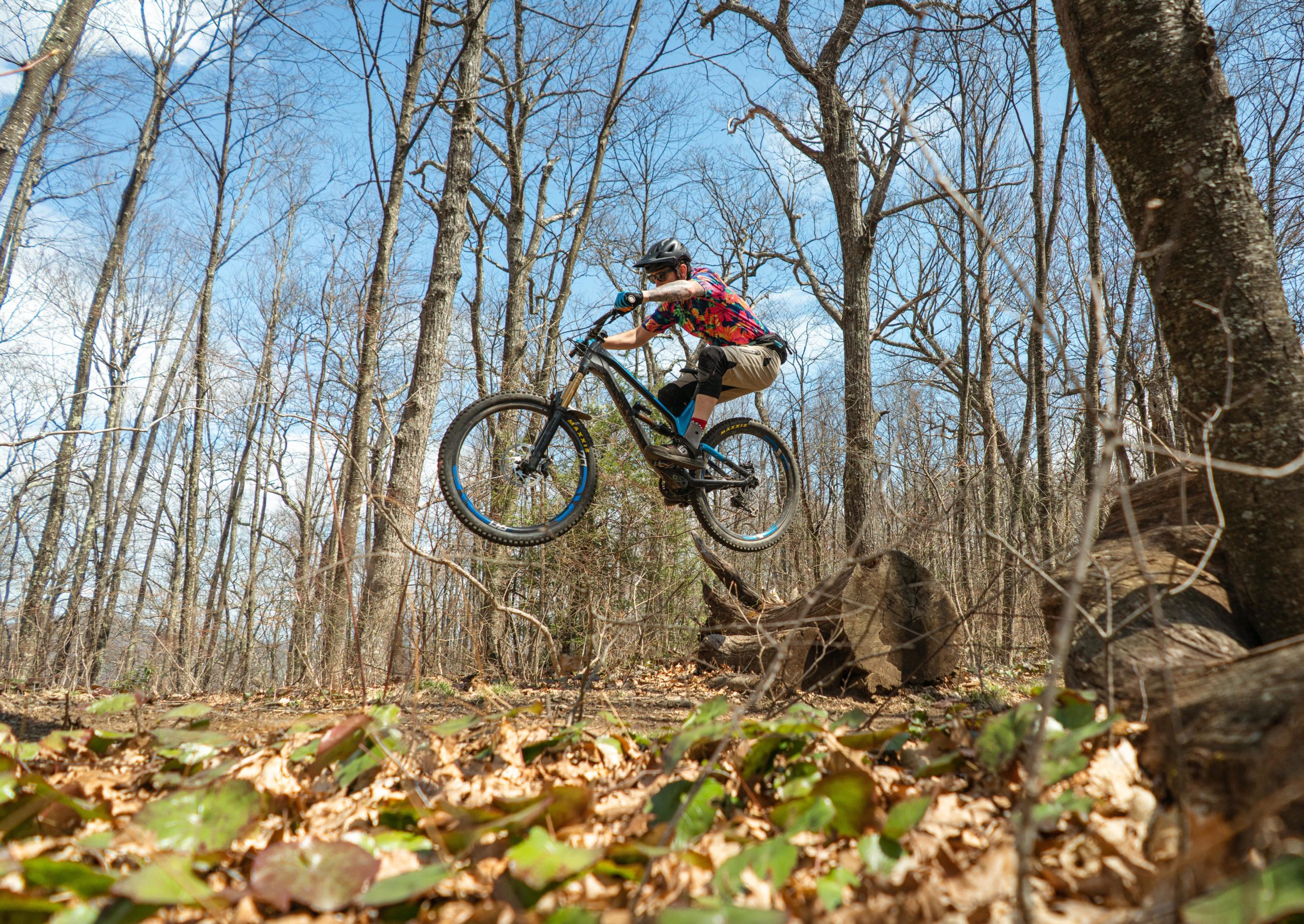 A cyclist performing a jump over a log in a wooded area with bare trees and blue sky in the background. The rider is wearing a colorful shirt and shorts, showcasing an action-packed moment in mountain biking. Laurel Mountain mountain bike trail.