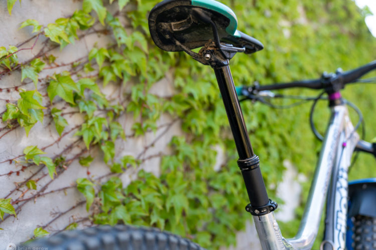 A close-up view of a mountain bike's saddle and seat post against a backdrop of green ivy climbing a wall. The saddle is turquoise, and the seat post is black, showing signs of wear. The bike frame is partially visible, hinting at a rugged outdoor design.