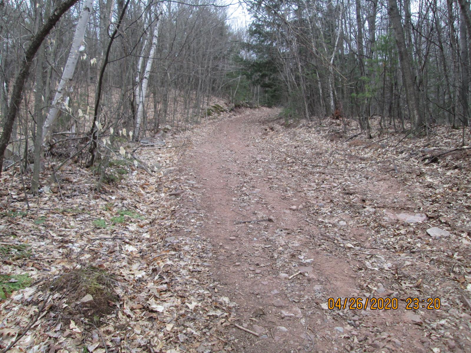 A dirt path winding through a forest, surrounded by bare trees and scattered leaves on the ground. The scene is tranquil, depicting the natural landscape in a late spring or early fall setting. Red Road mountain bike trail.