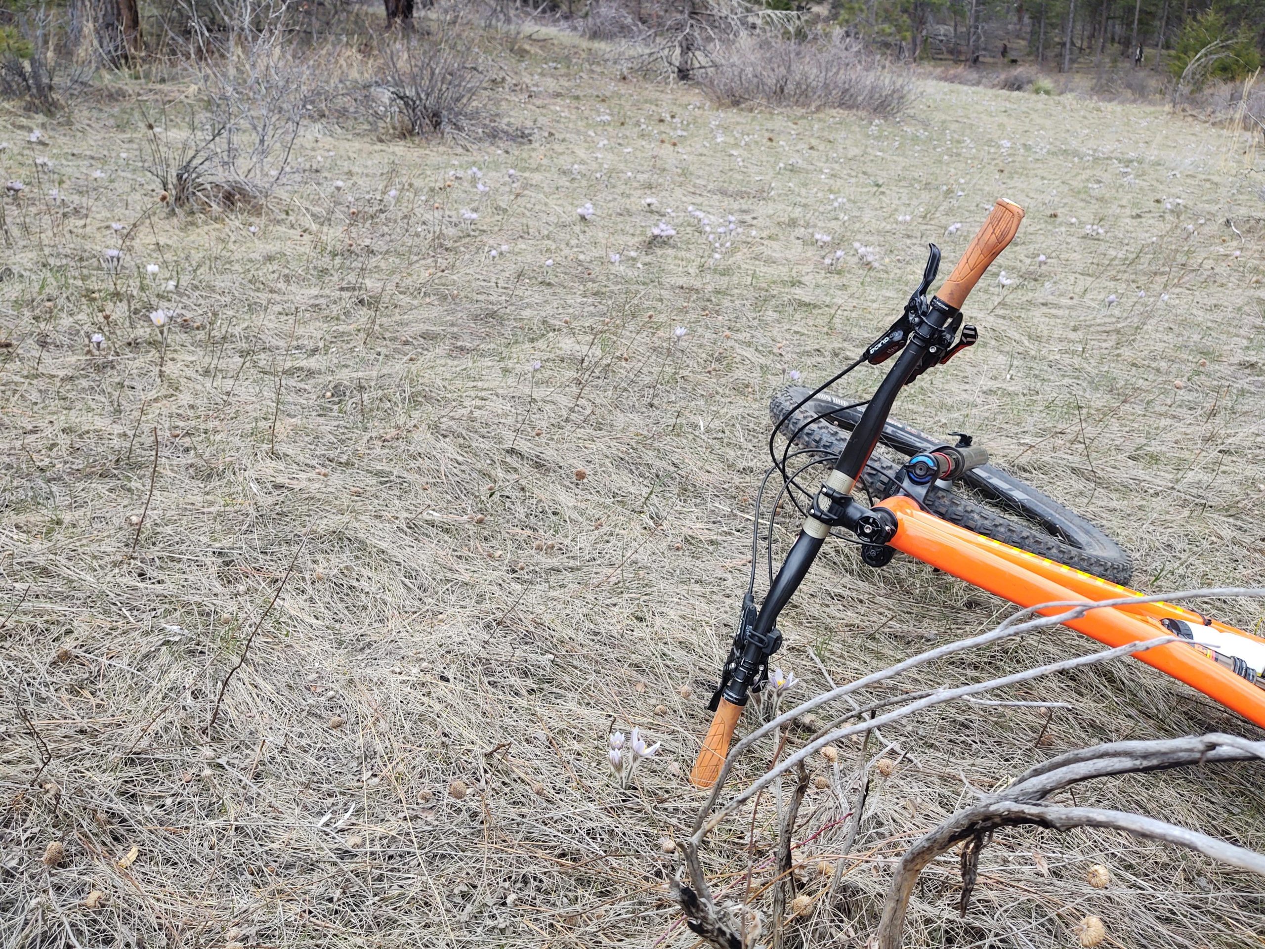 A close-up view of a mountain bike lying on its side in a grassy area, with dry grass and scattered small plants around. The bike features an orange frame and wooden grips on the handlebars. Young Gulch mountain bike trail.