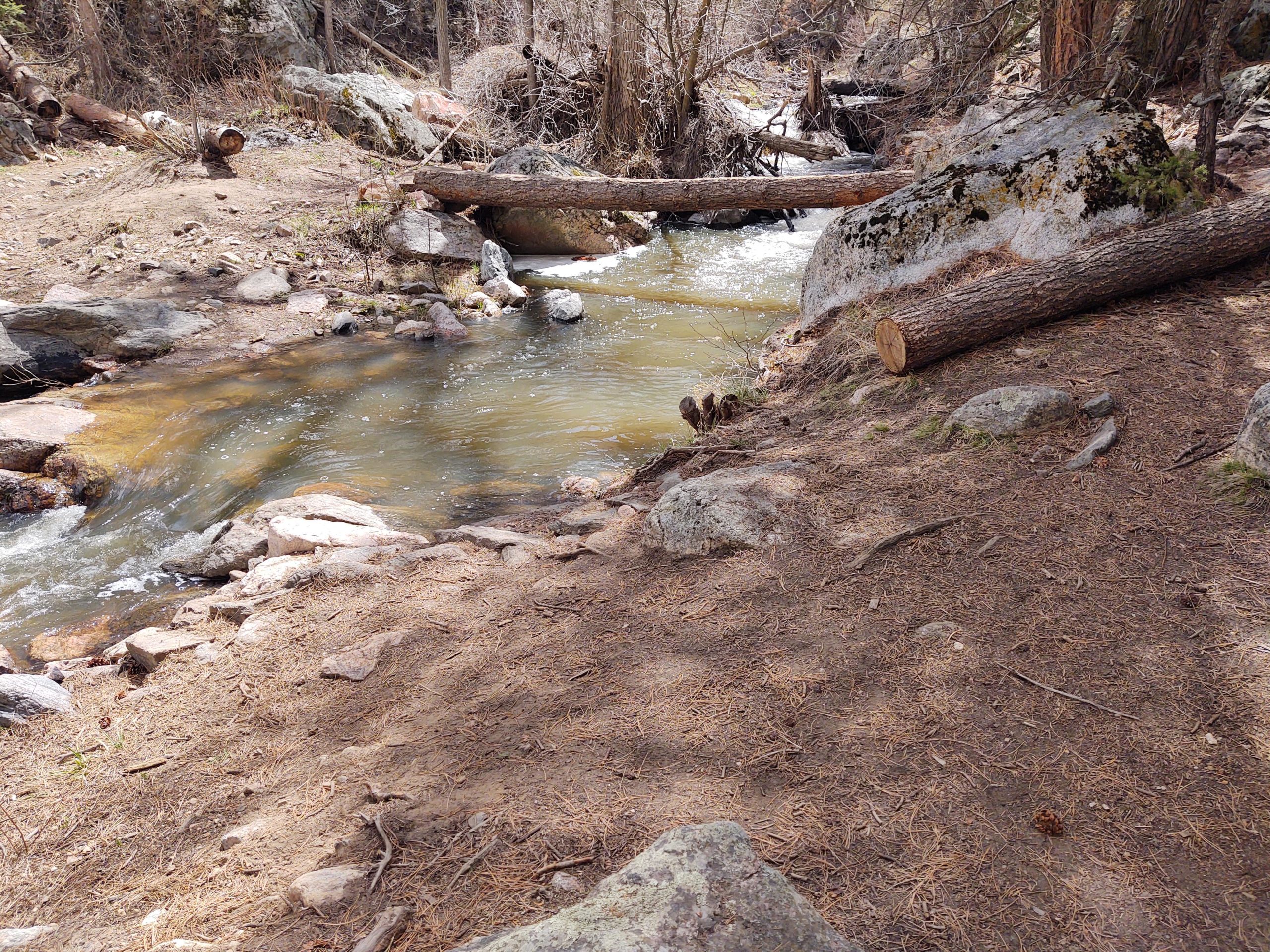 A peaceful stream flowing through a rocky landscape, surrounded by sparse vegetation and fallen trees. The water is clear, with gentle ripples, while the ground is covered in pine needles and small rocks. Natural light filters through the trees, creating a serene atmosphere. Young Gulch mountain bike trail.