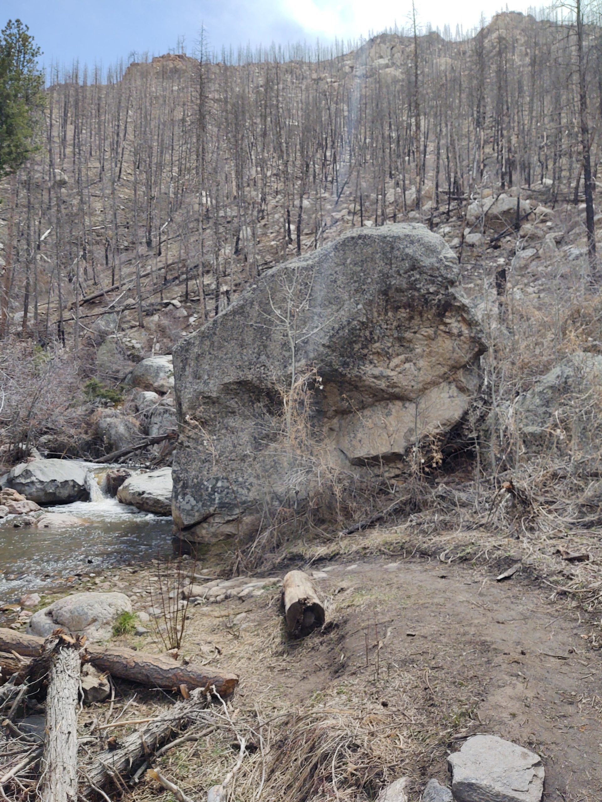A large boulder sits near a flowing stream, with a backdrop of a hillside marked by charred, lifeless trees, remnants of a past wildfire. The terrain is rocky and uneven, with scattered logs and dried grasses. The sky above is partly cloudy, indicating a cool, overcast day. Young Gulch mountain bike trail.