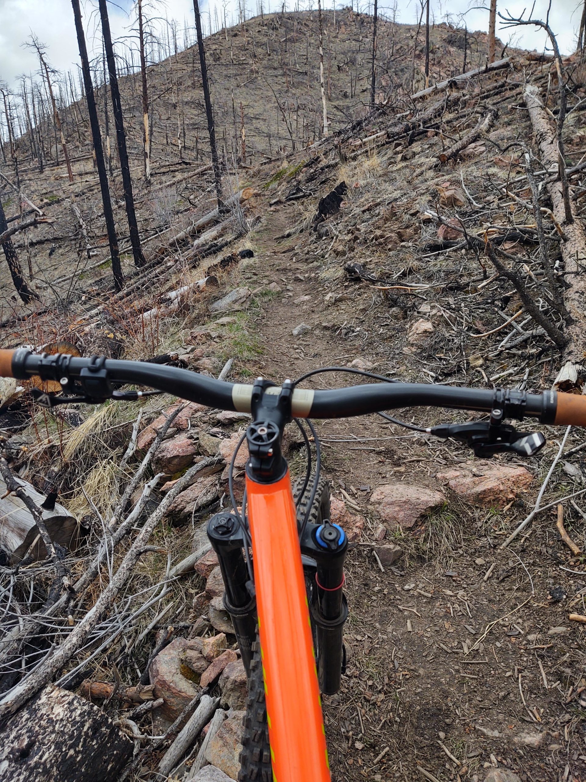 View from the handlebars of a mountain bike on a rocky trail through a post-wildfire landscape, featuring charred trees and sparse vegetation on a hillside. Young Gulch mountain bike trail.