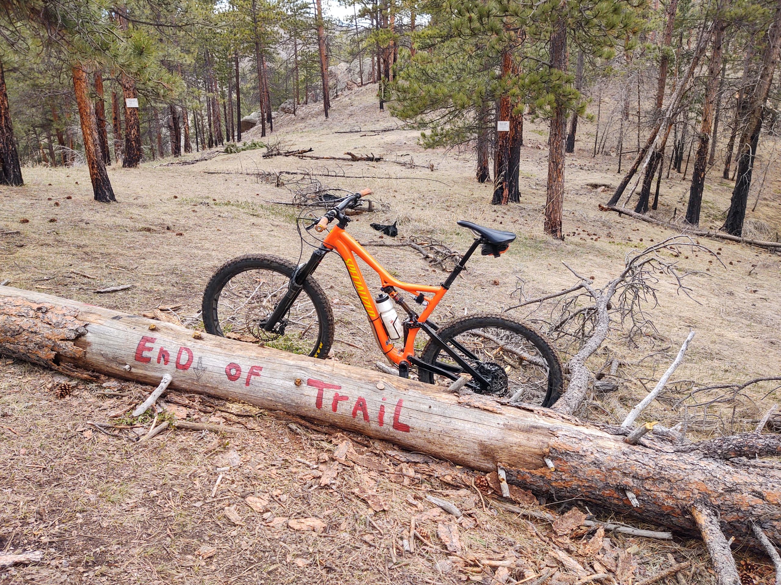 A mountain bike is leaning against a fallen tree with "End of Trail" written on it, surrounded by a forest of pine trees and dry grass. The scene captures the natural beauty of a trail area, with a hint of adventure and exploration. Young Gulch mountain bike trail.