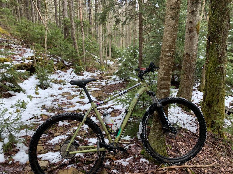 A mountain bike leaning against a tree in a snowy forest setting, surrounded by tall trees and lush greenery. The trail in the background is partially covered with snow and scattered rocks, indicating a rugged terrain. Tea Creek Mountain Trail mountain bike trail.